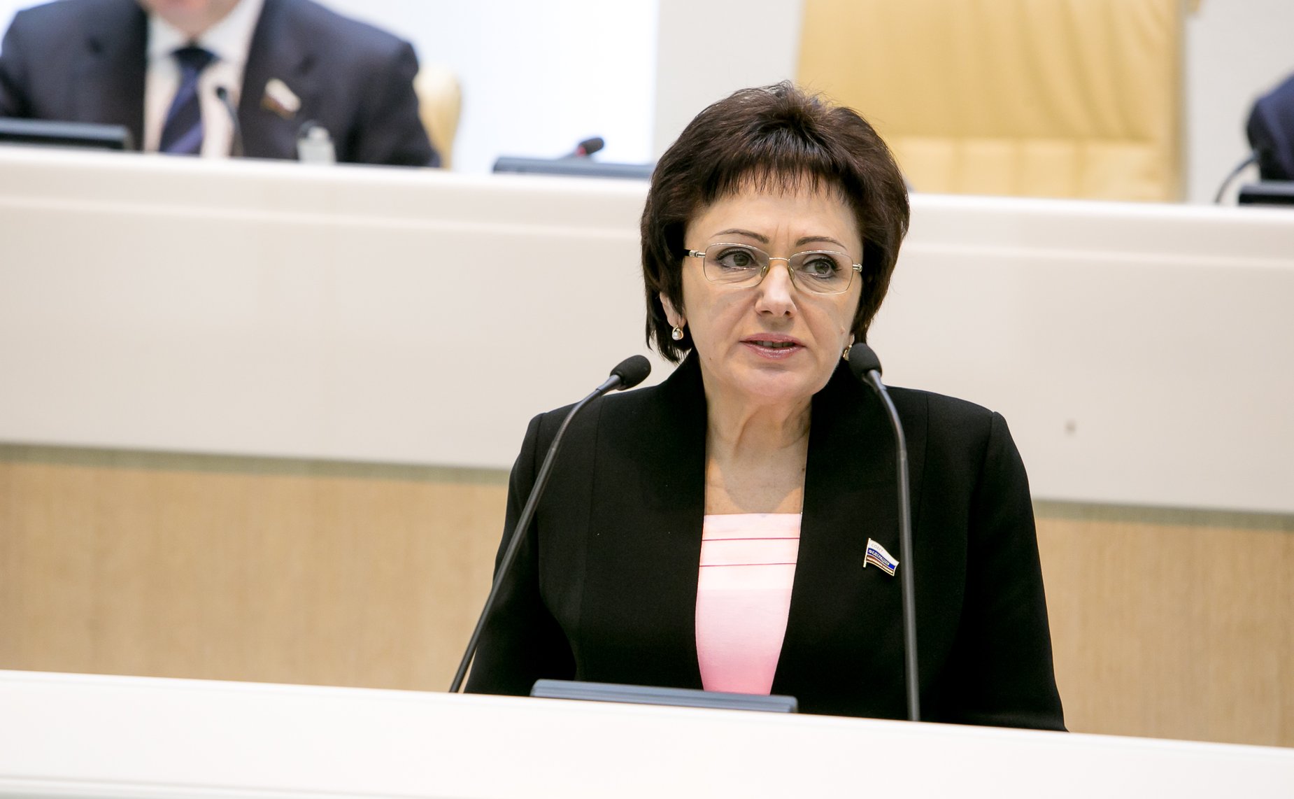 381-зеседание Совета Федерации Бибикова