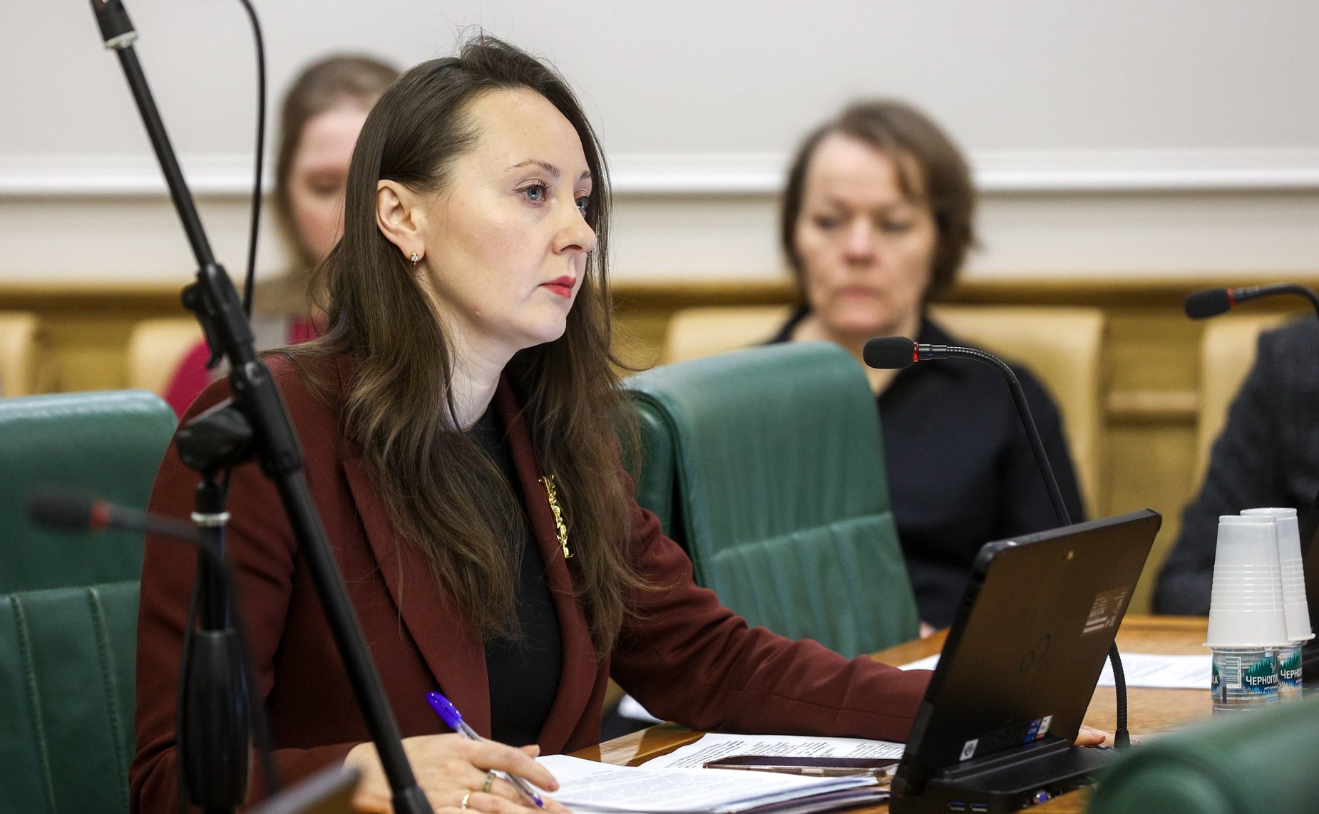 Заседание Комитета Совета Федерации по конституционному законодательству и государственному строительству