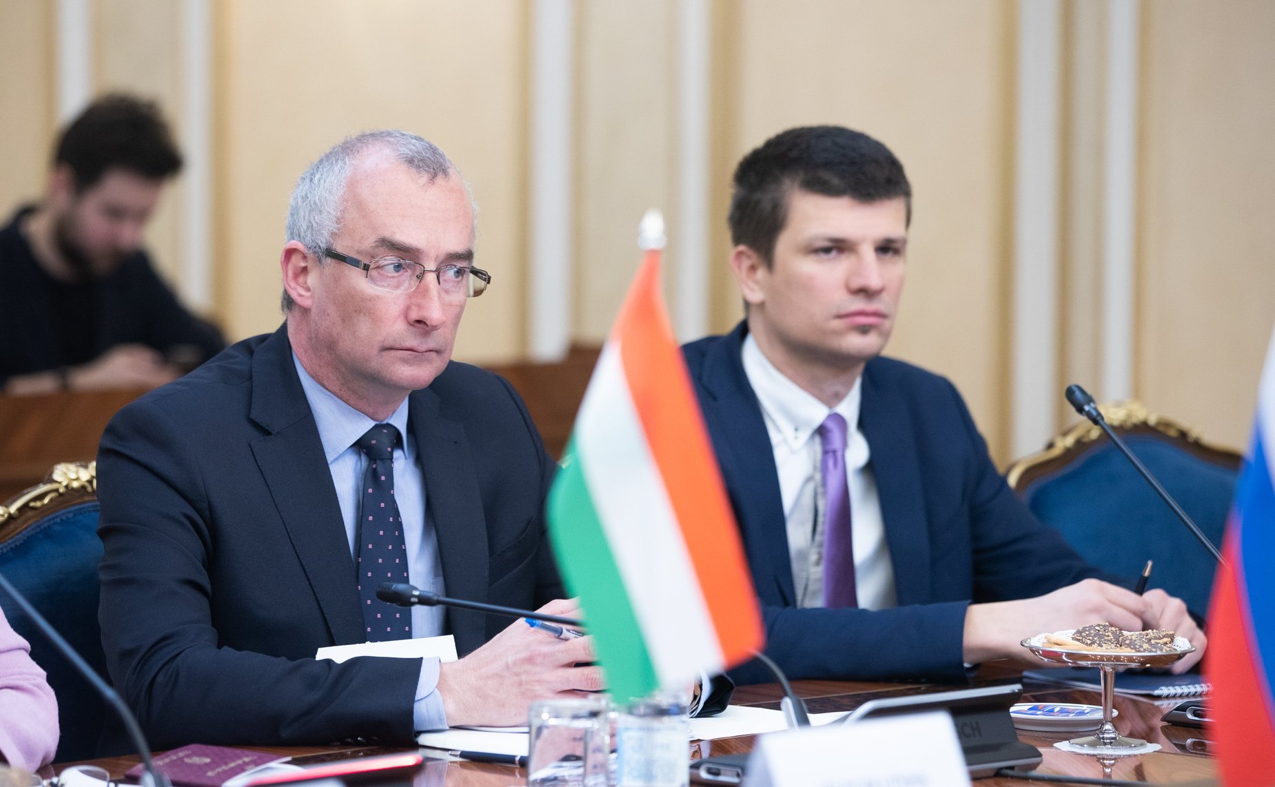 Встреча Николая Федорова с Министром внешнеэкономических связей и иностранных дел Венгрии Петером Сийярто