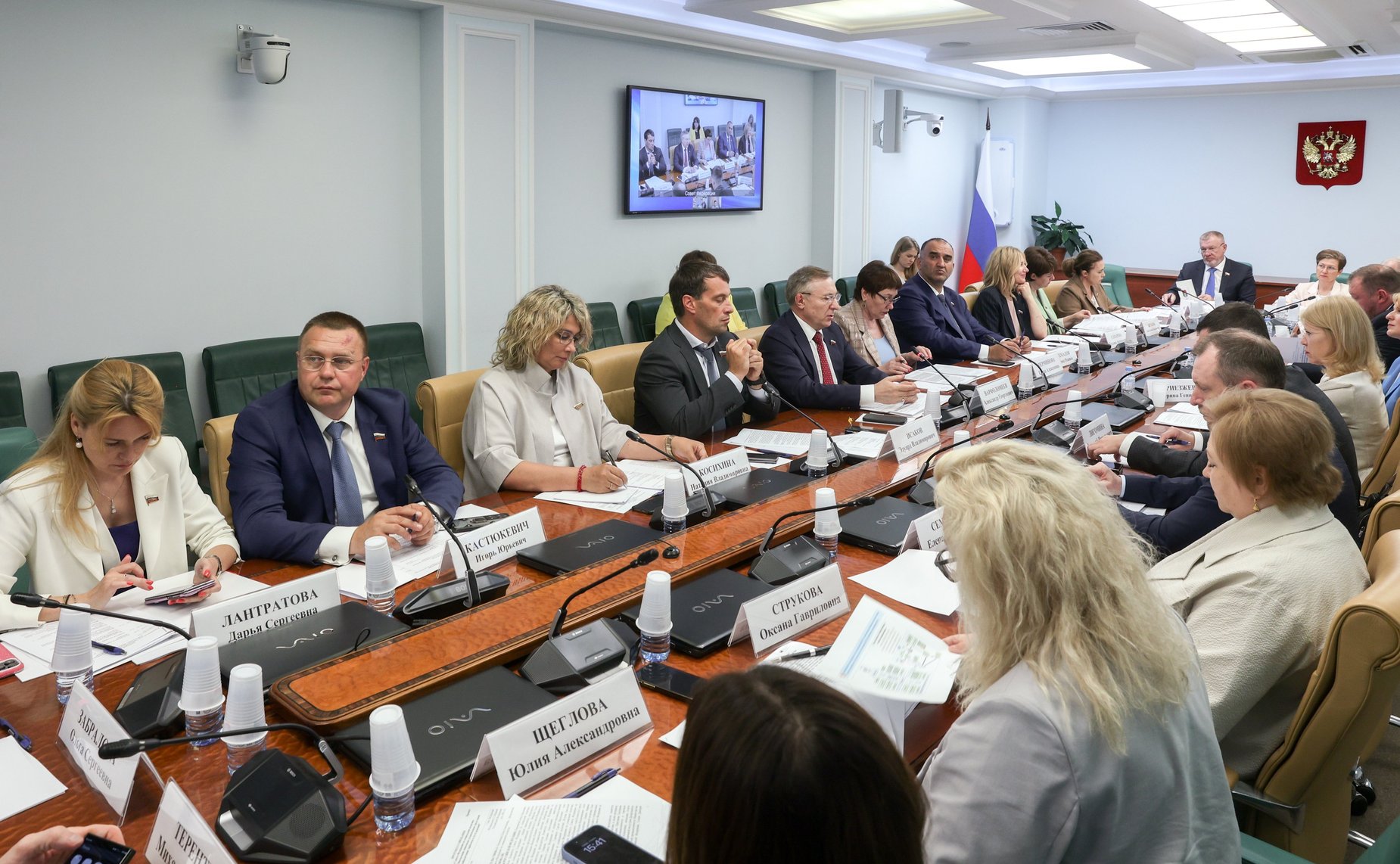 Совещание Комитета Совета Федерации по социальной политике на тему «Обеспечение инвалидов техническими средствами реабилитации: проблемы и пути их решения»