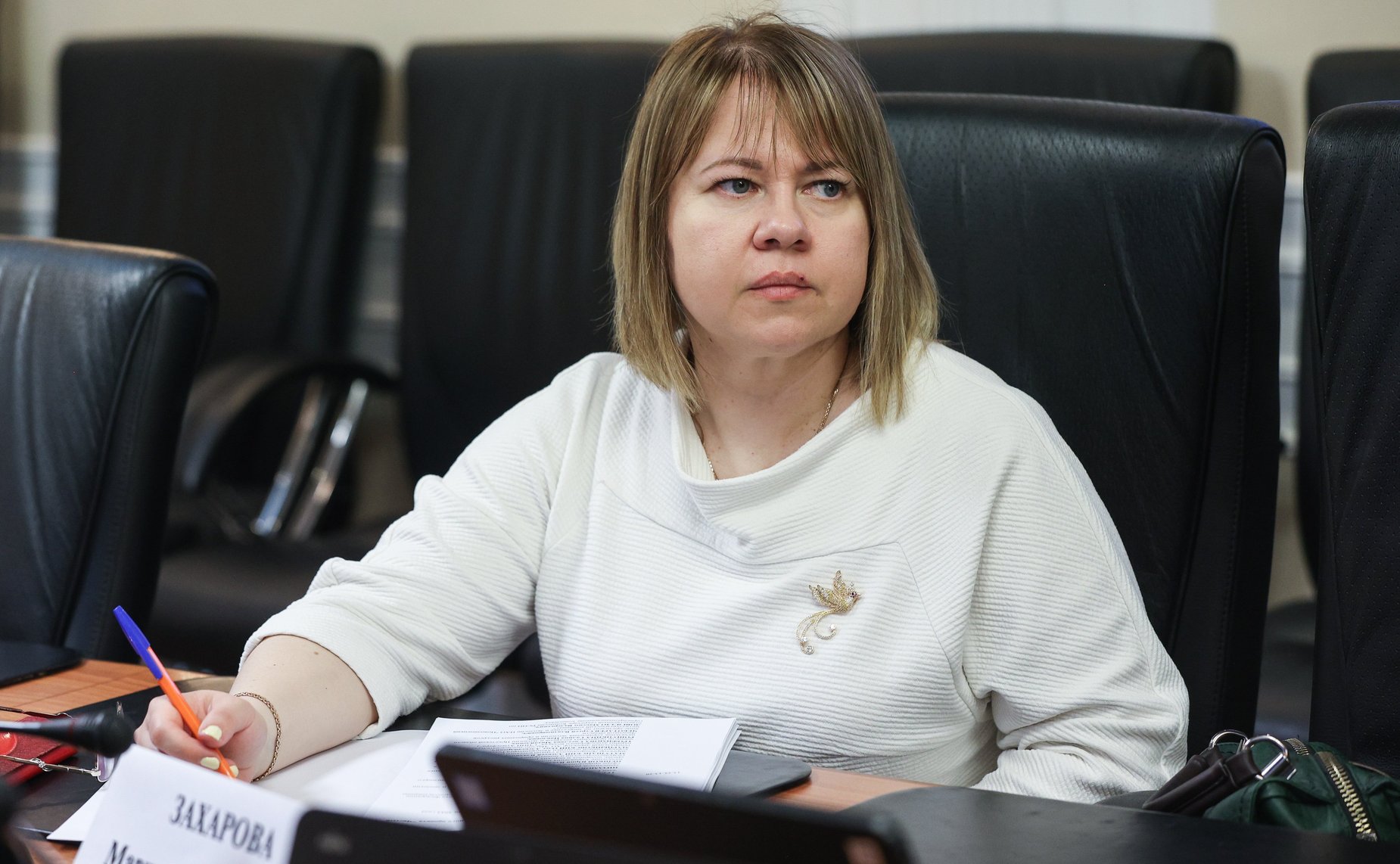 Парламентские слушания на тему «О реализации федерального проекта «Чистый воздух» национального проекта «Экология»