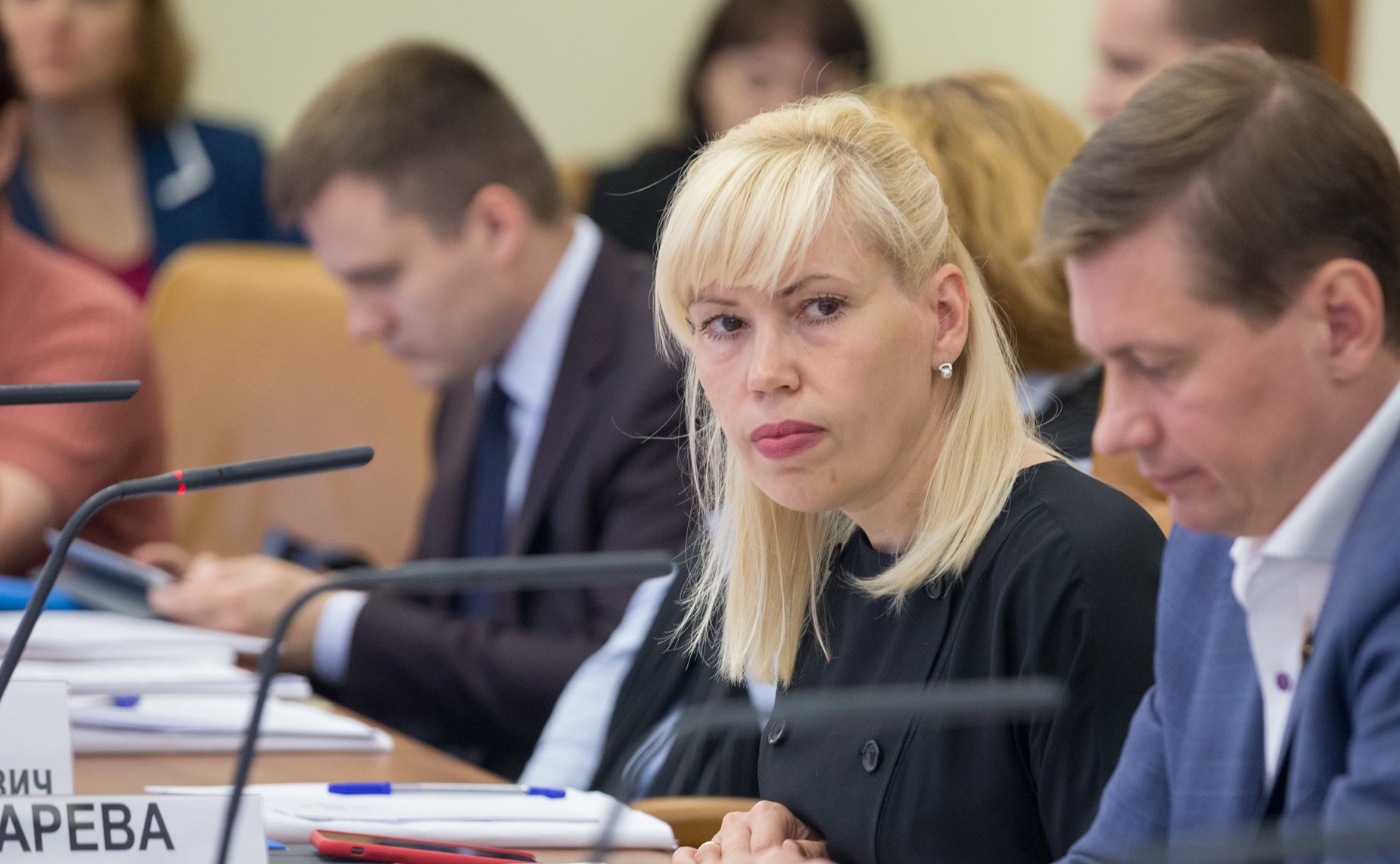 Заседание Комитета СФ по федеративному устройству, региональной политике, местному самоуправлению и делам Севера