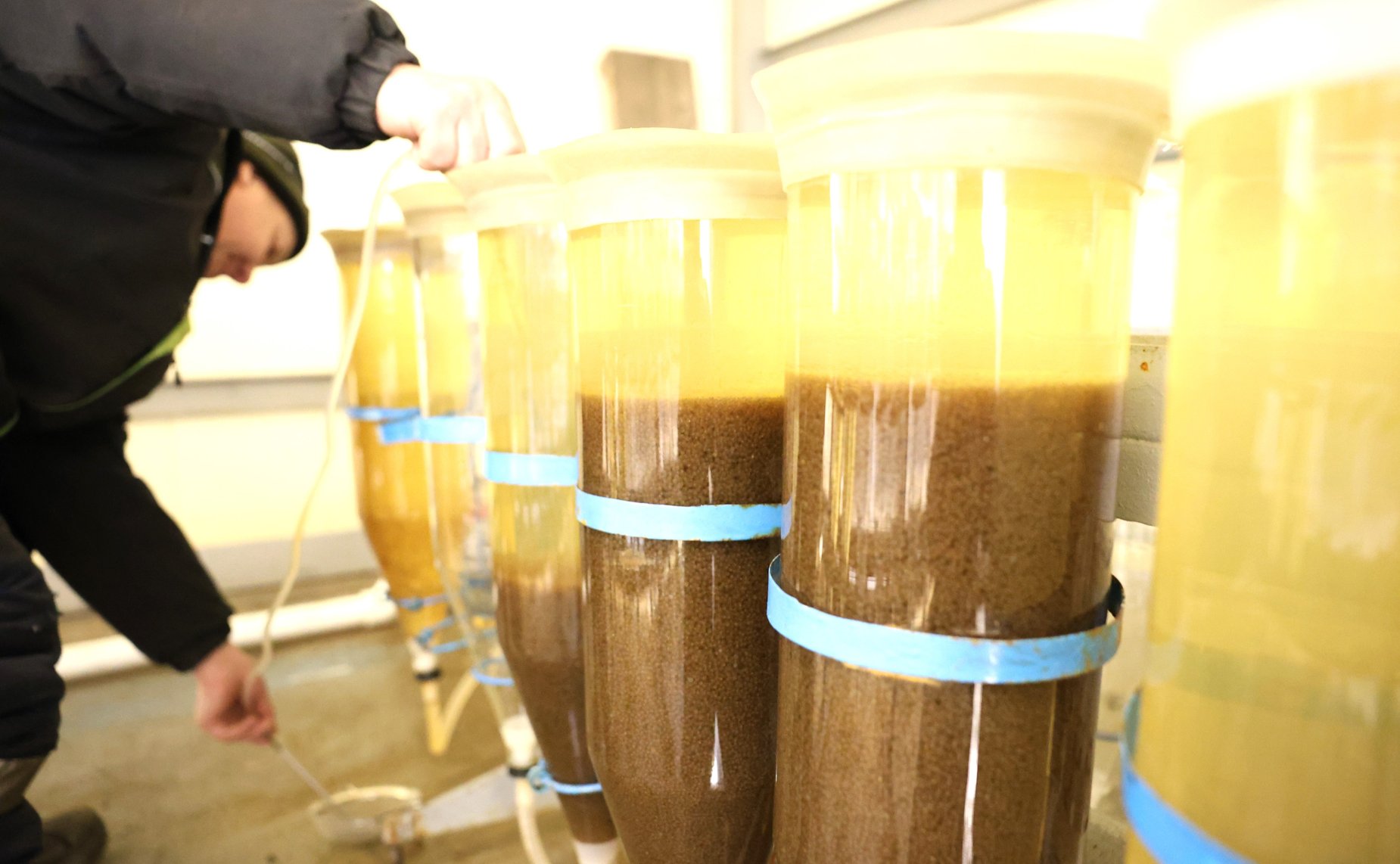 Денис Гусев в рамках работы в регионе осмотрел производственные и социальные объекты сельскохозяйственного производственного кооператива «Рыболовецкий колхоз «Сула»