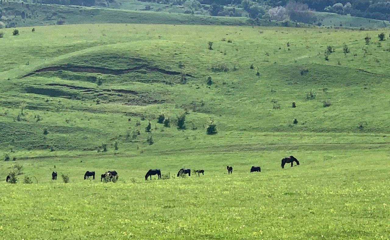 Анатолий Артамонов ознакомился с ходом строительства и реконструкции ряда социальных объектов