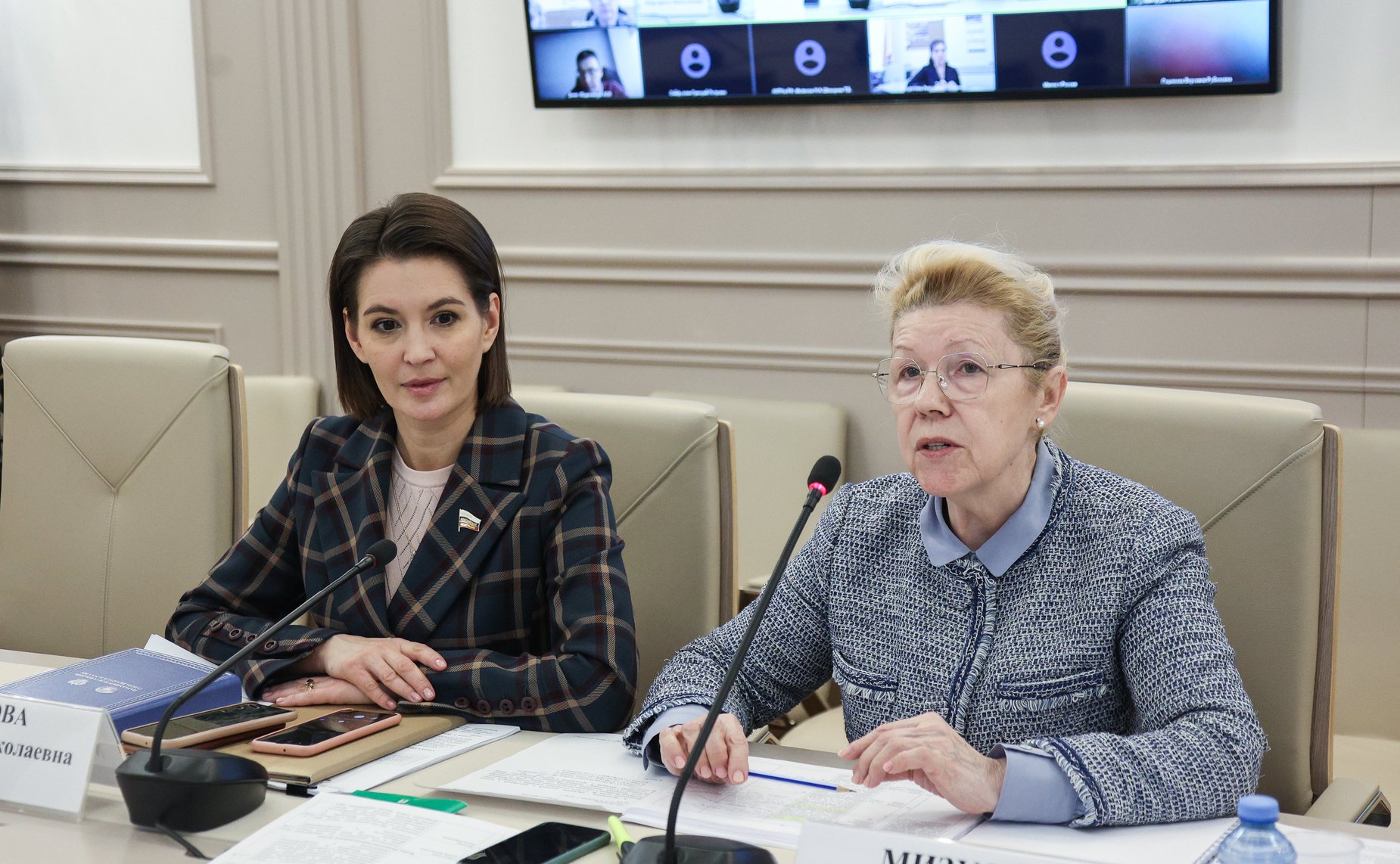 Заседание Межведомственной рабочей группы при Комитета СФ по конституционному законодательству и государственному строительству