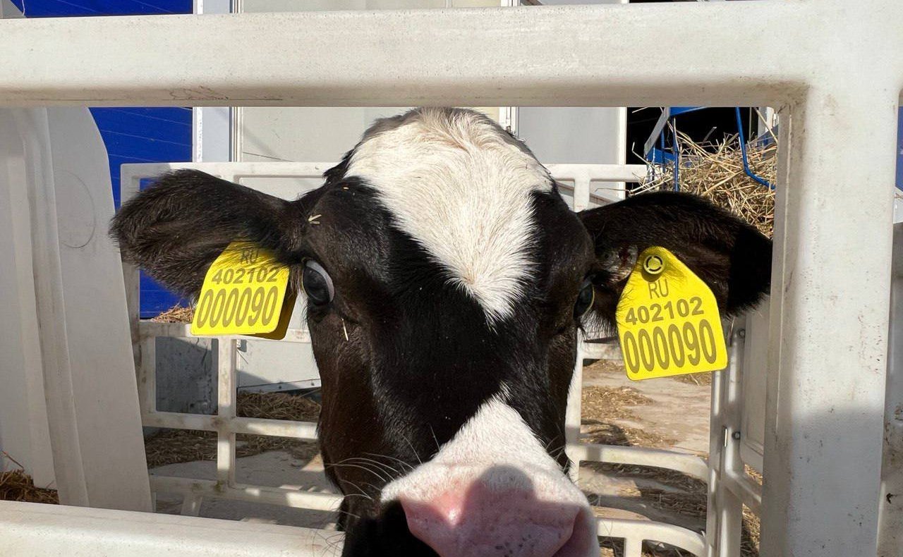 Рабочая поездка Анатолия Артамонова в регион