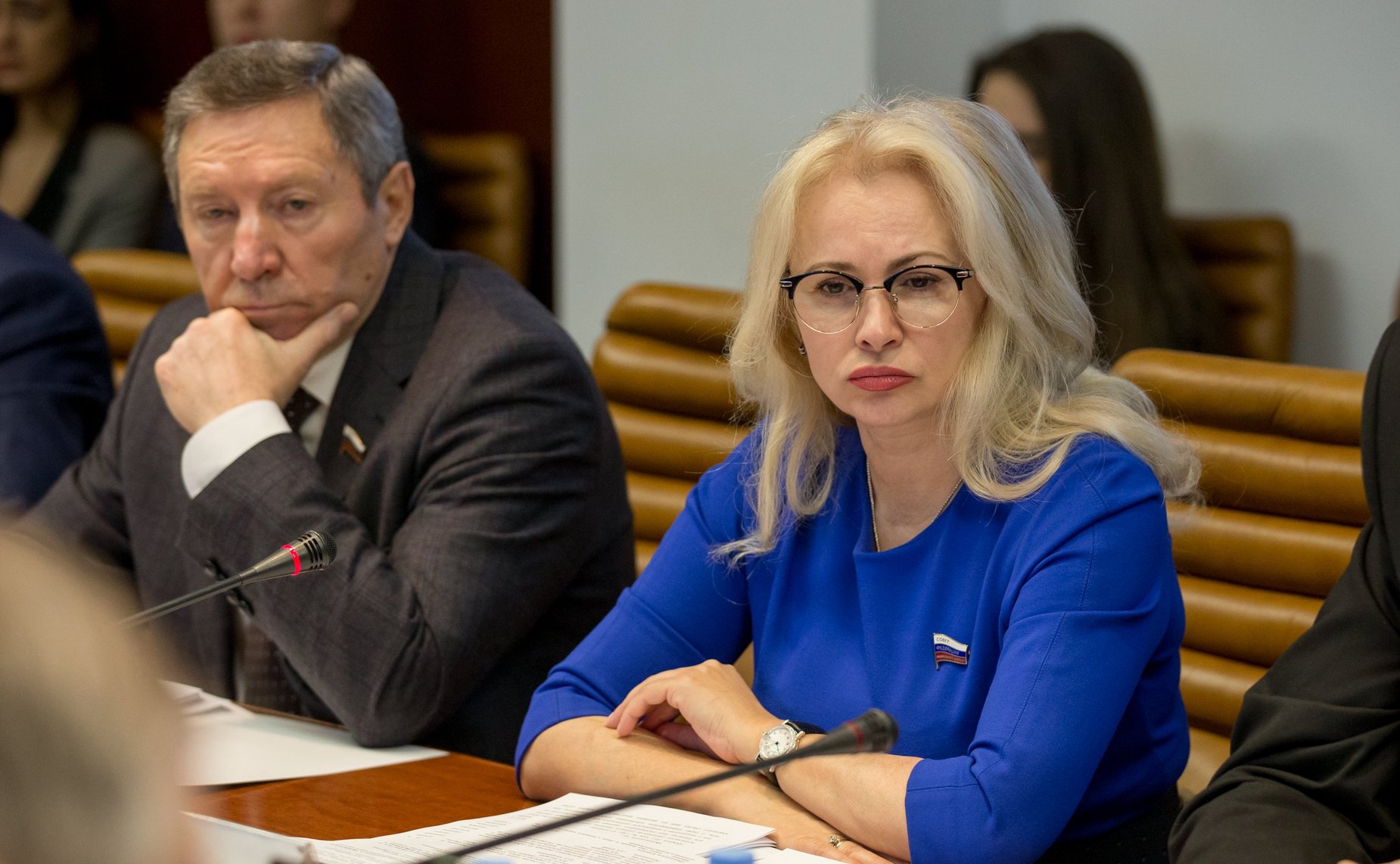 Заседание Комитета СФ по обороне и безопасности