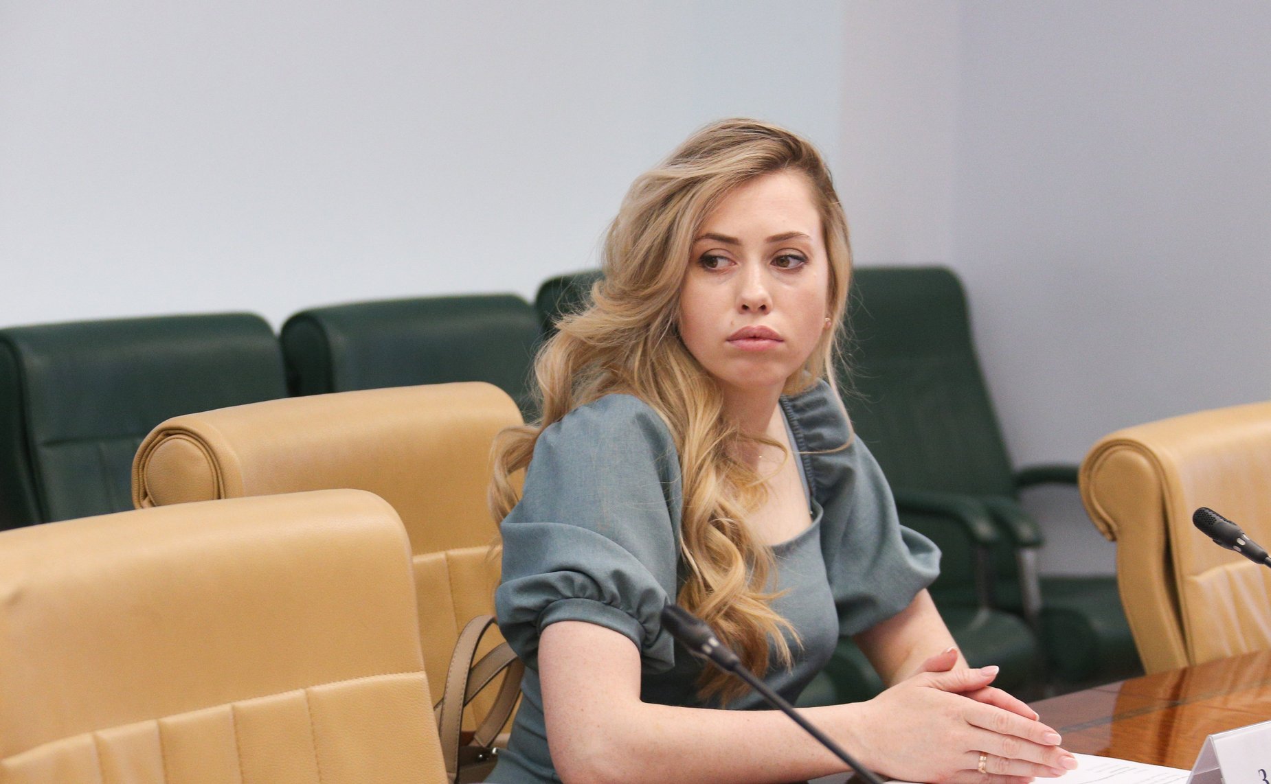 Заседание секции Экспертного Совета Комитета СФ по науке, образованию и культуре