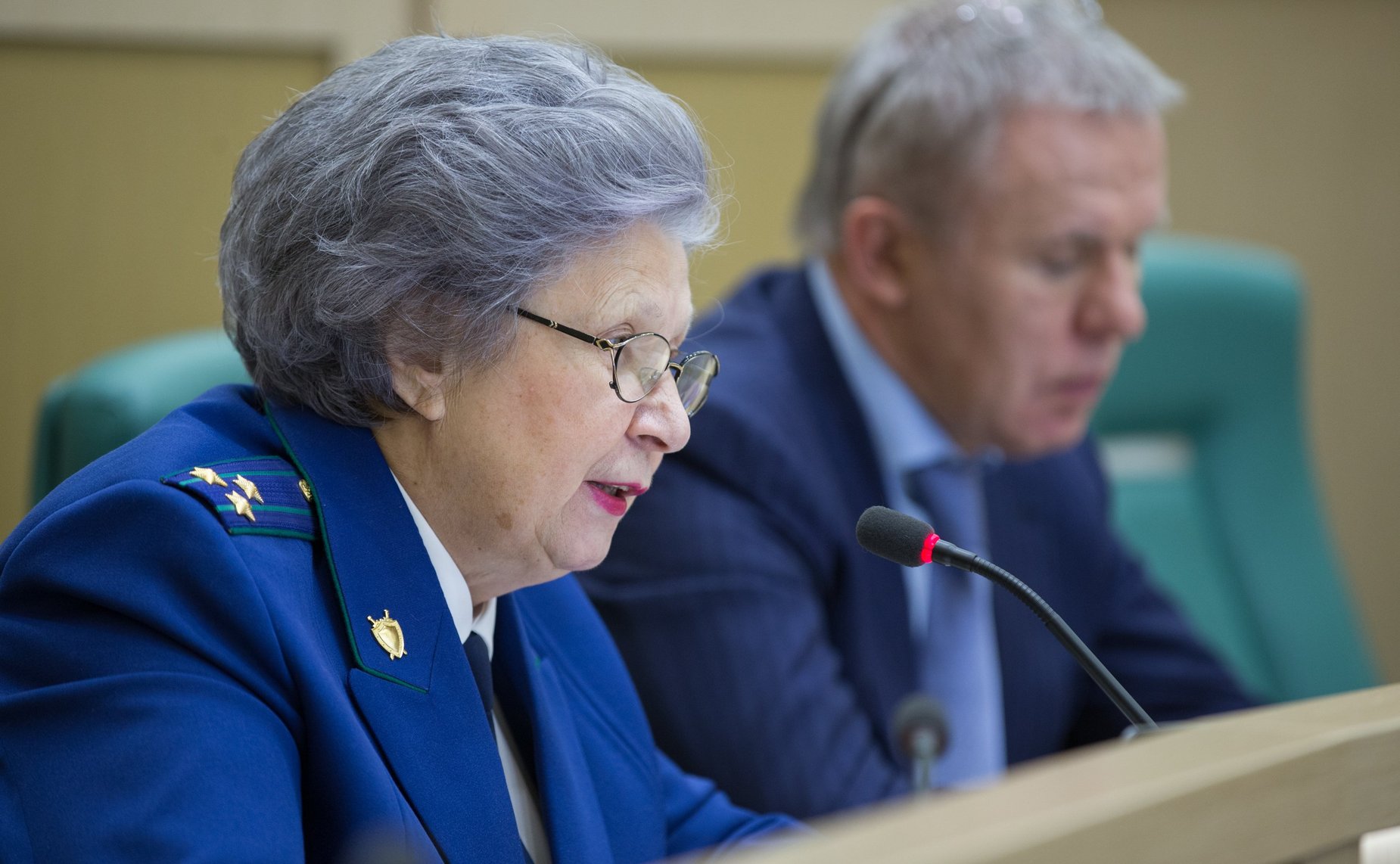 С. Горячева на 387-м заседании СФ