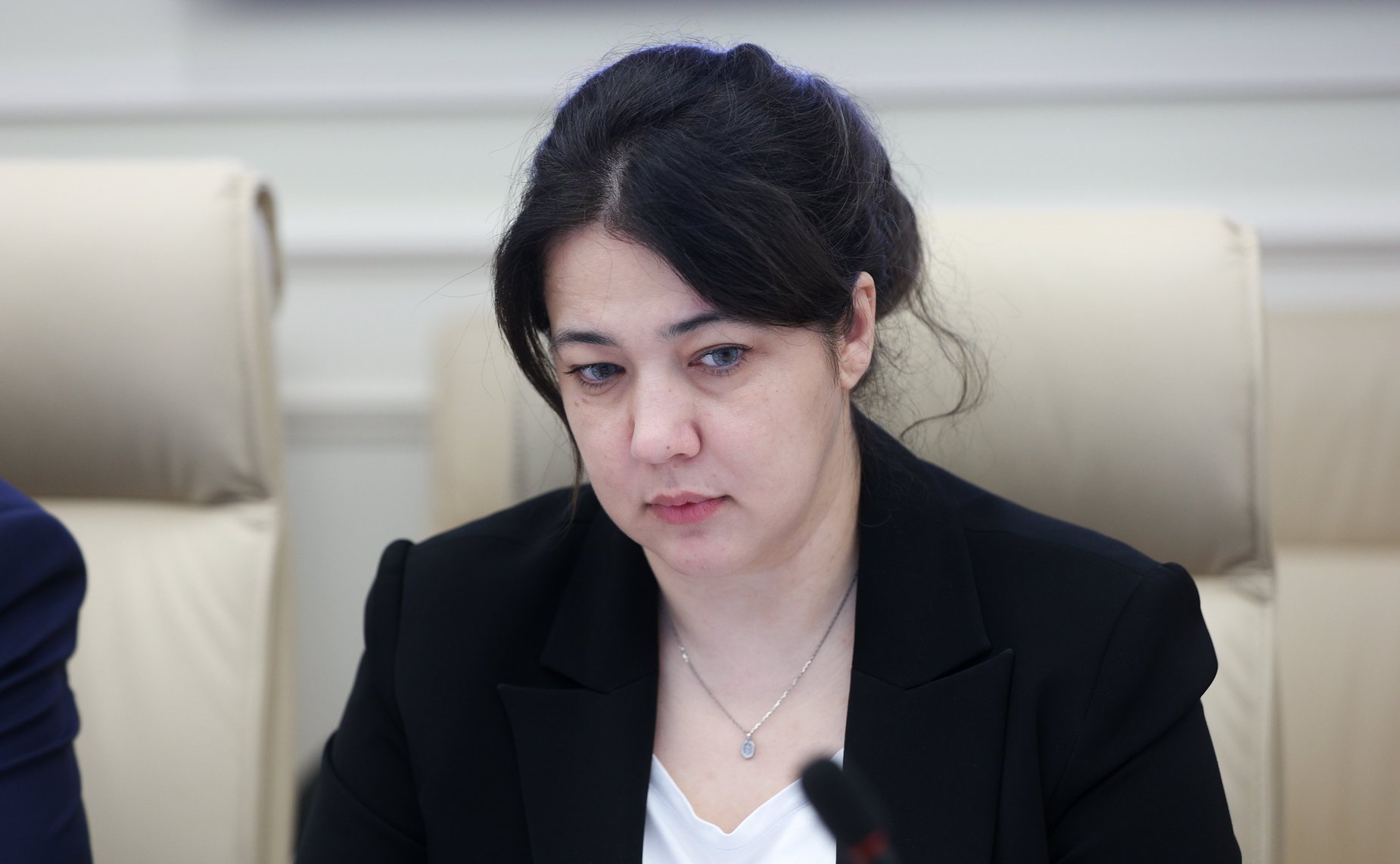 Заседание Комитета Совета Федерации по Регламенту и организации парламентской деятельности