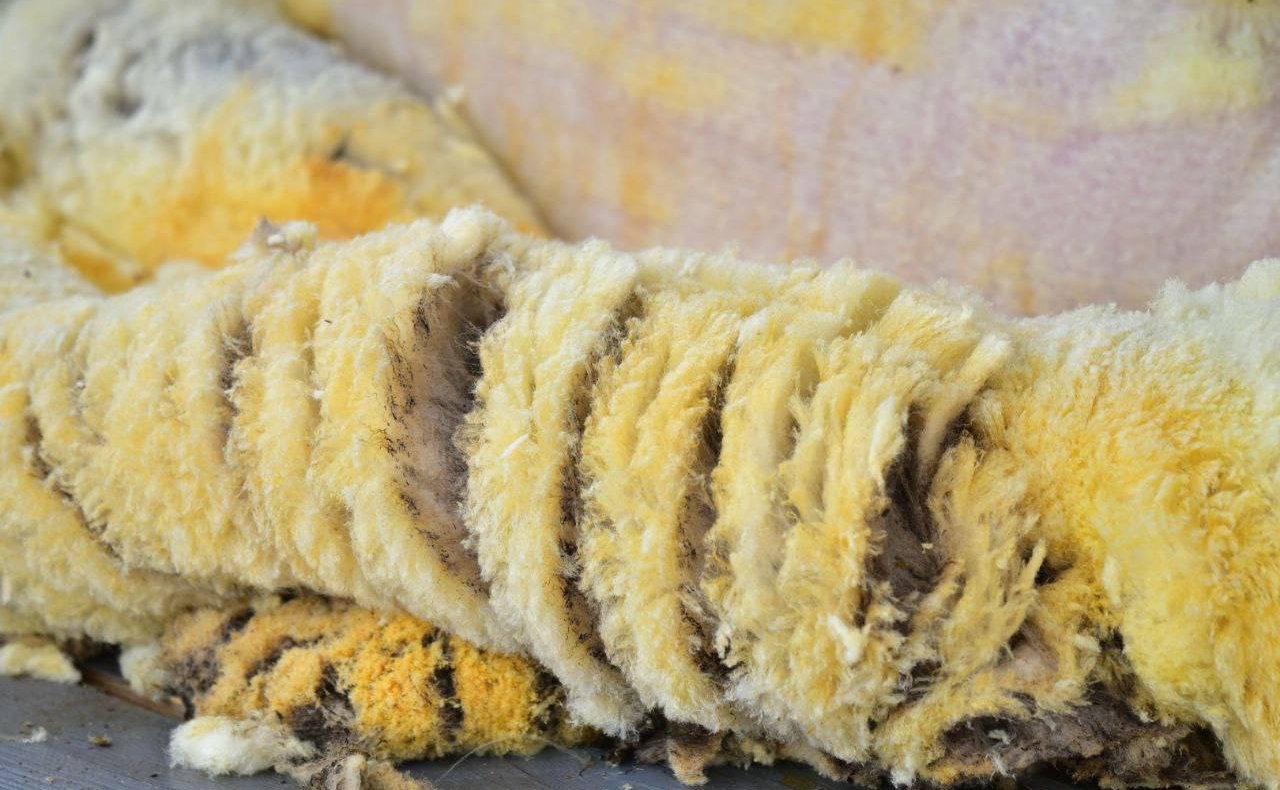 Баир Жамсуев принял участие в культурно-спортивном празднике «Зунай наадан – 2025»