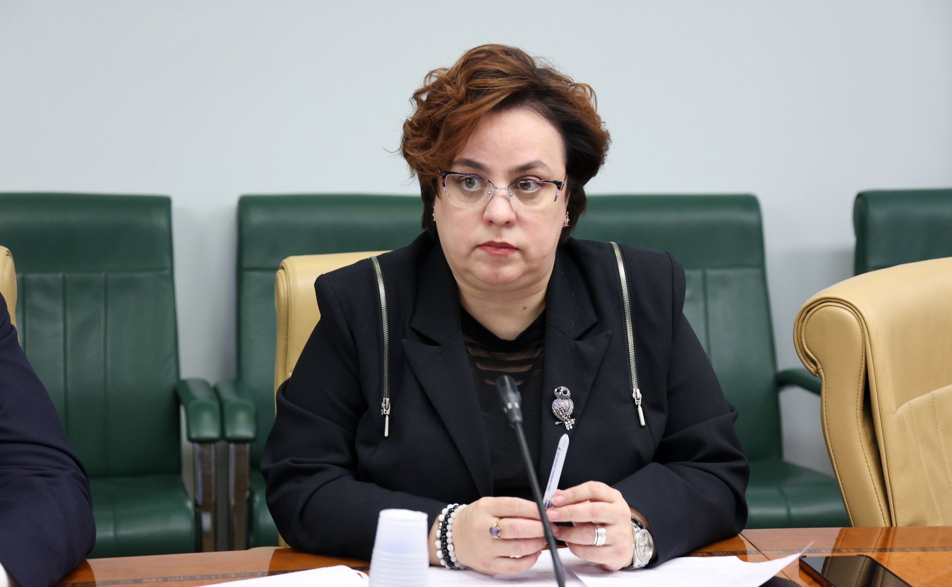 Совещание Комитета Совета Федерации по экономической политике «Развитие топливного рынка: взгляд со стороны потребителей»