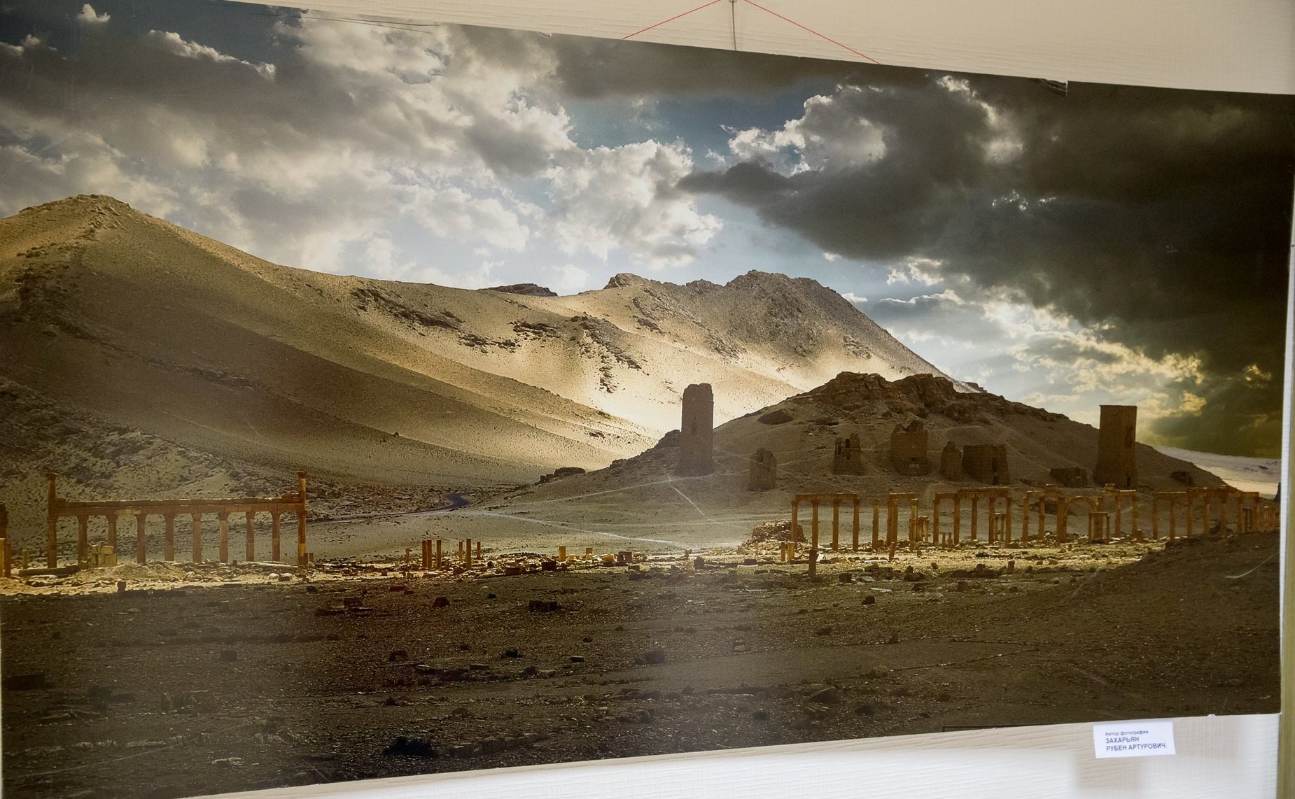 Открытие фотовыставки «Сохраним Пальмиру вместе»