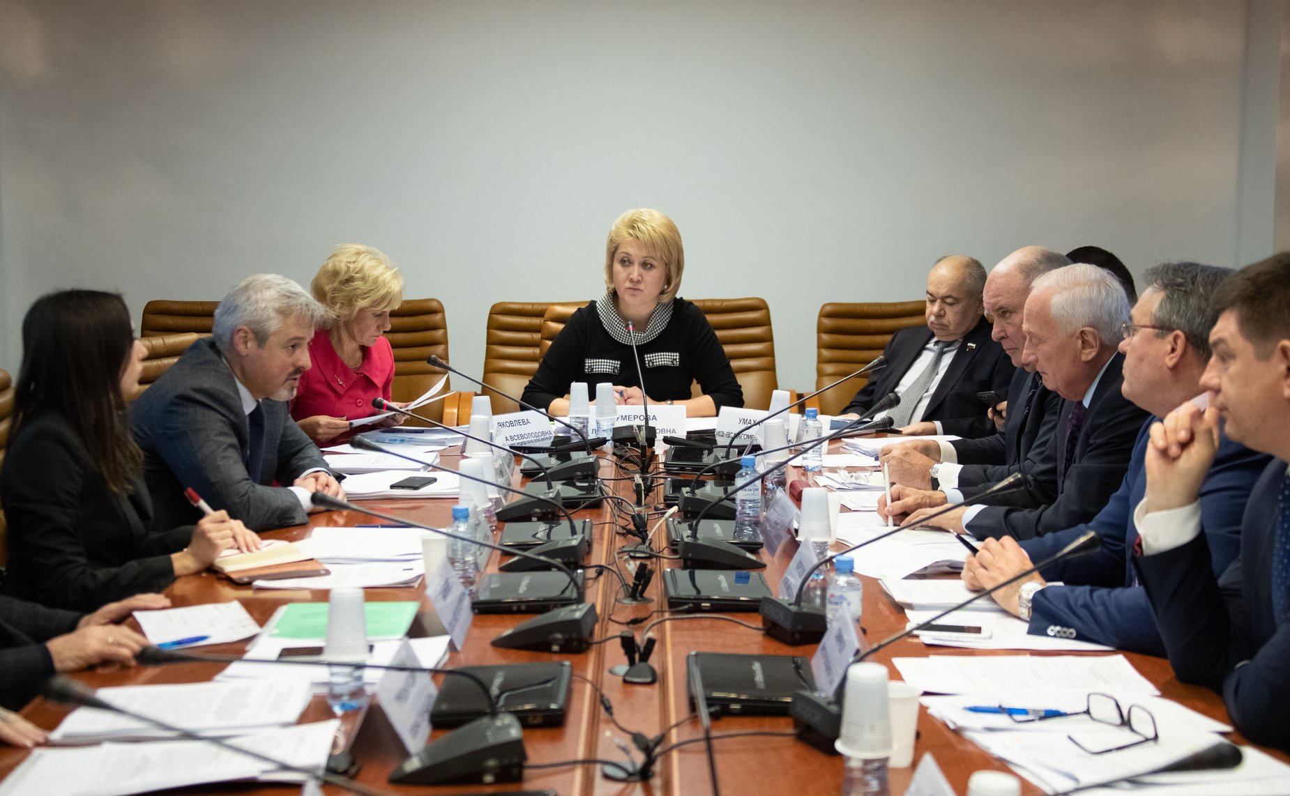 Заседание Комитета СФ по науке, образованию и культуре