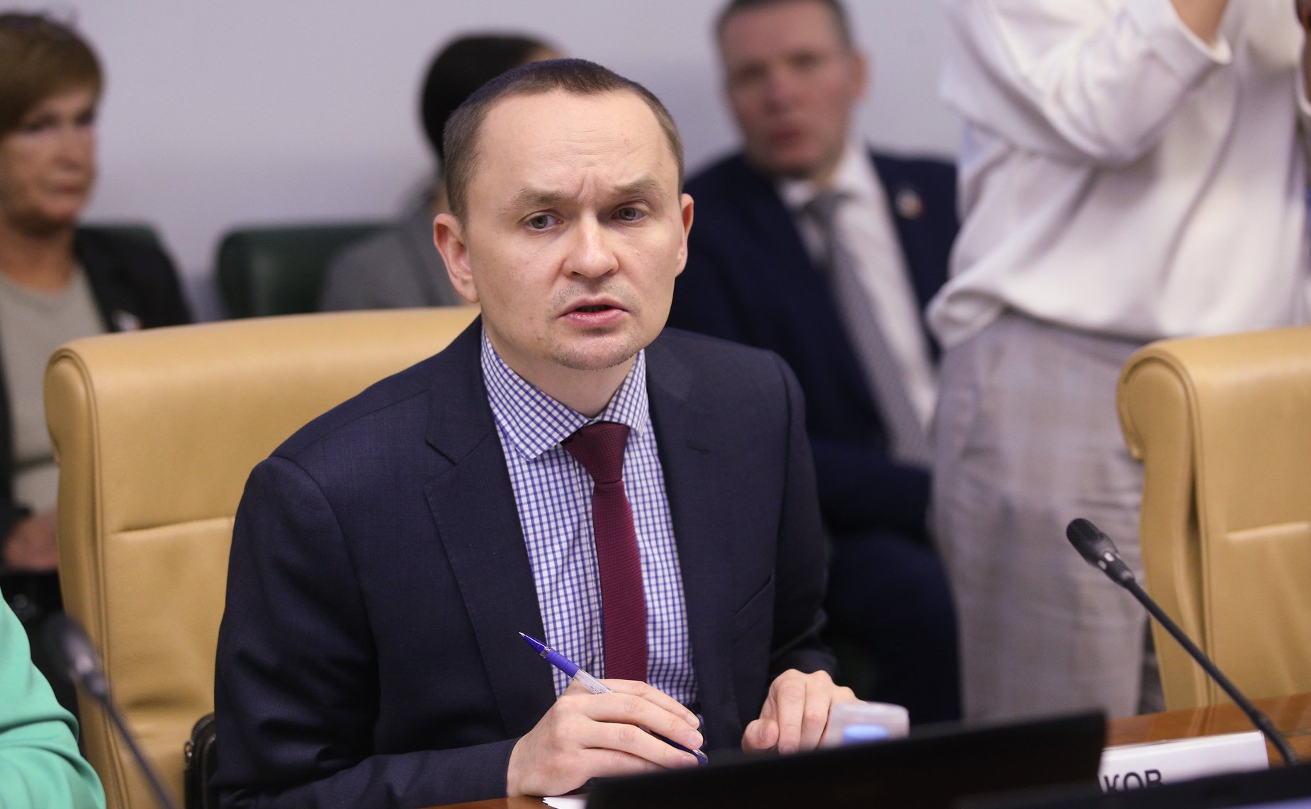 Расширенное заседание Комитета СФ по науке, образованию и культуре (в рамках Дней Новгородской области)