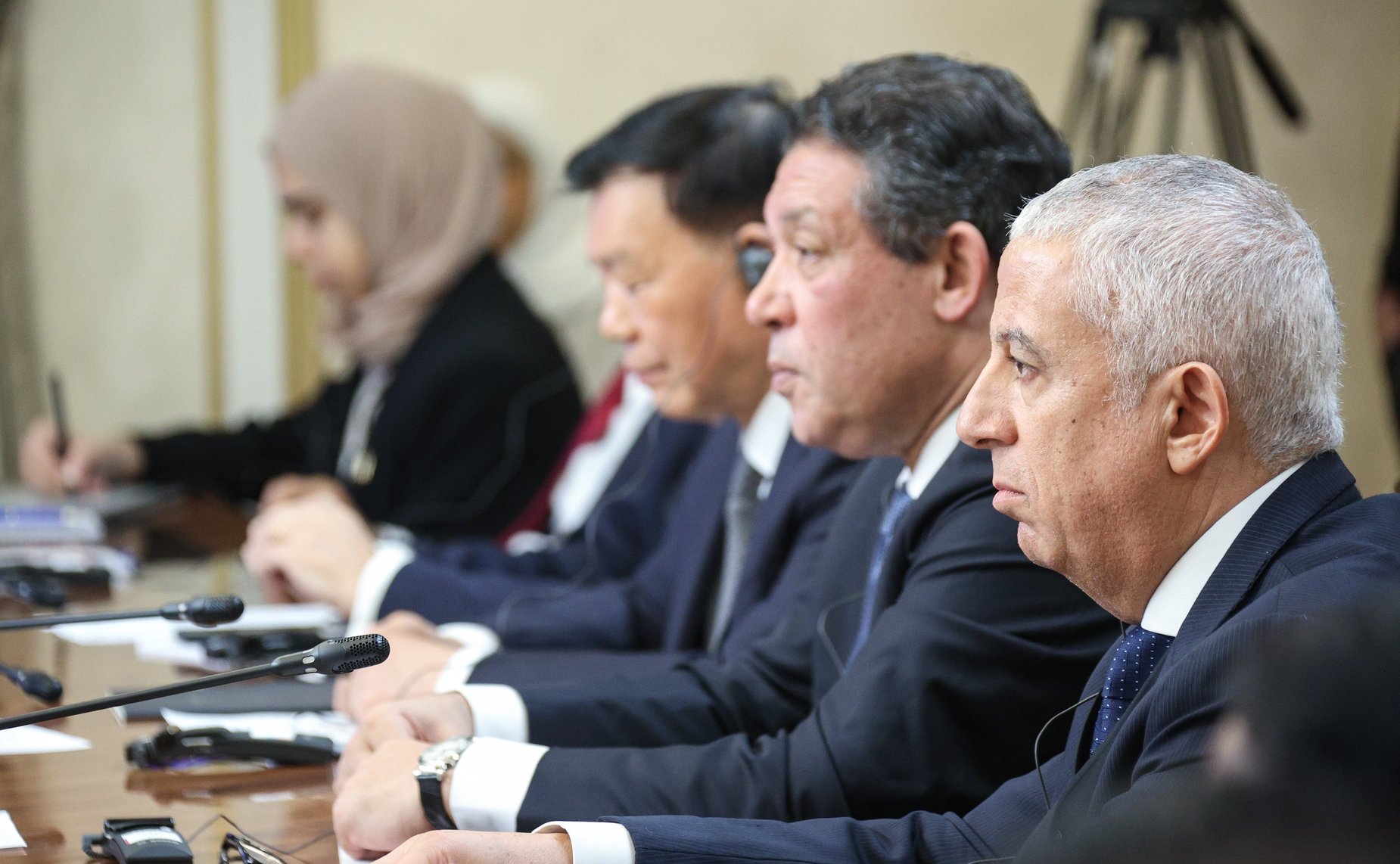 Встреча Председателя Совета Федерации Валентины Матвиенко с председателями комитетов по международным делам парламентов (палат парламентов) стран БРИКС