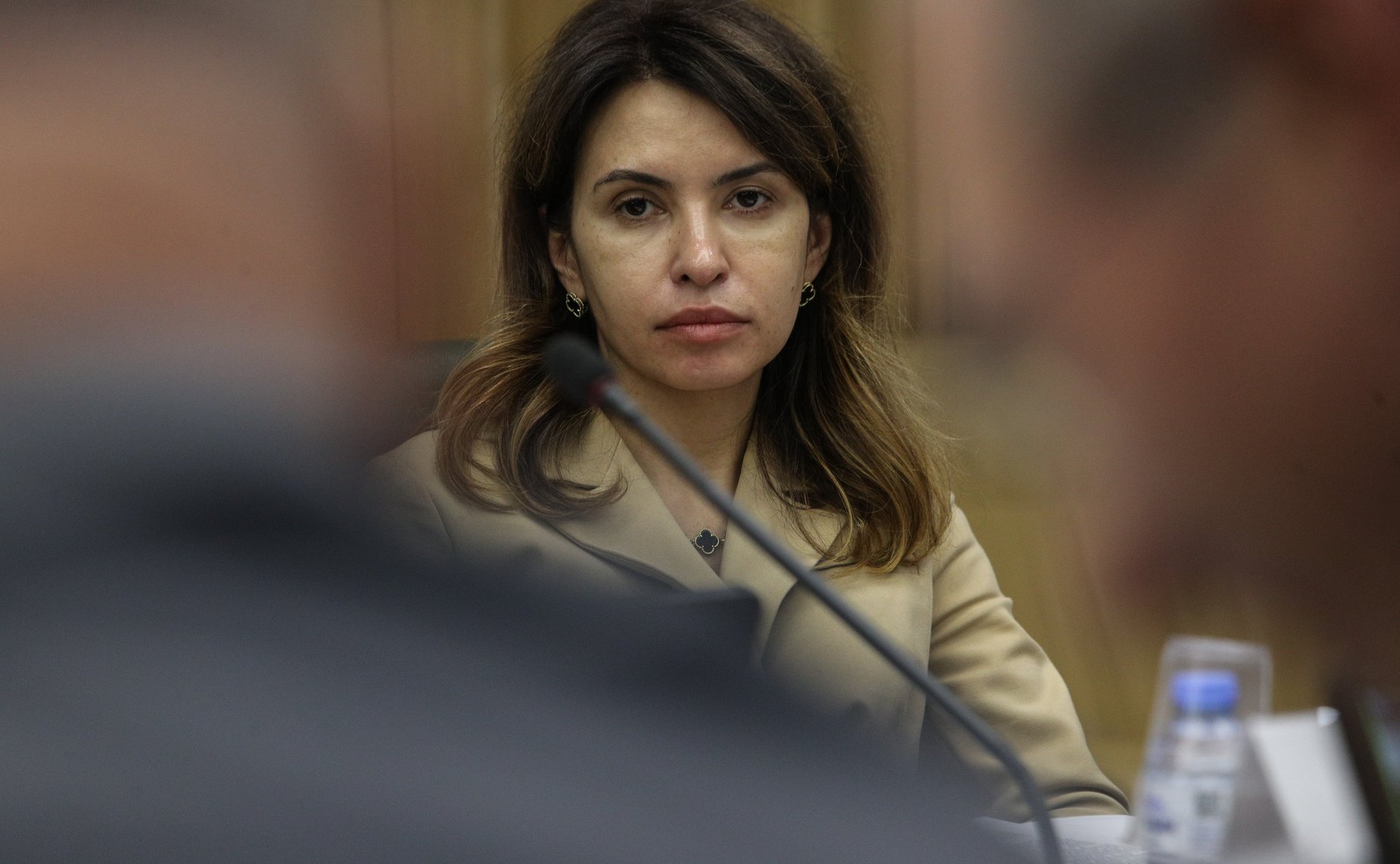 Совещание Комитета СФ по Регламенту и организации парламентской деятельности