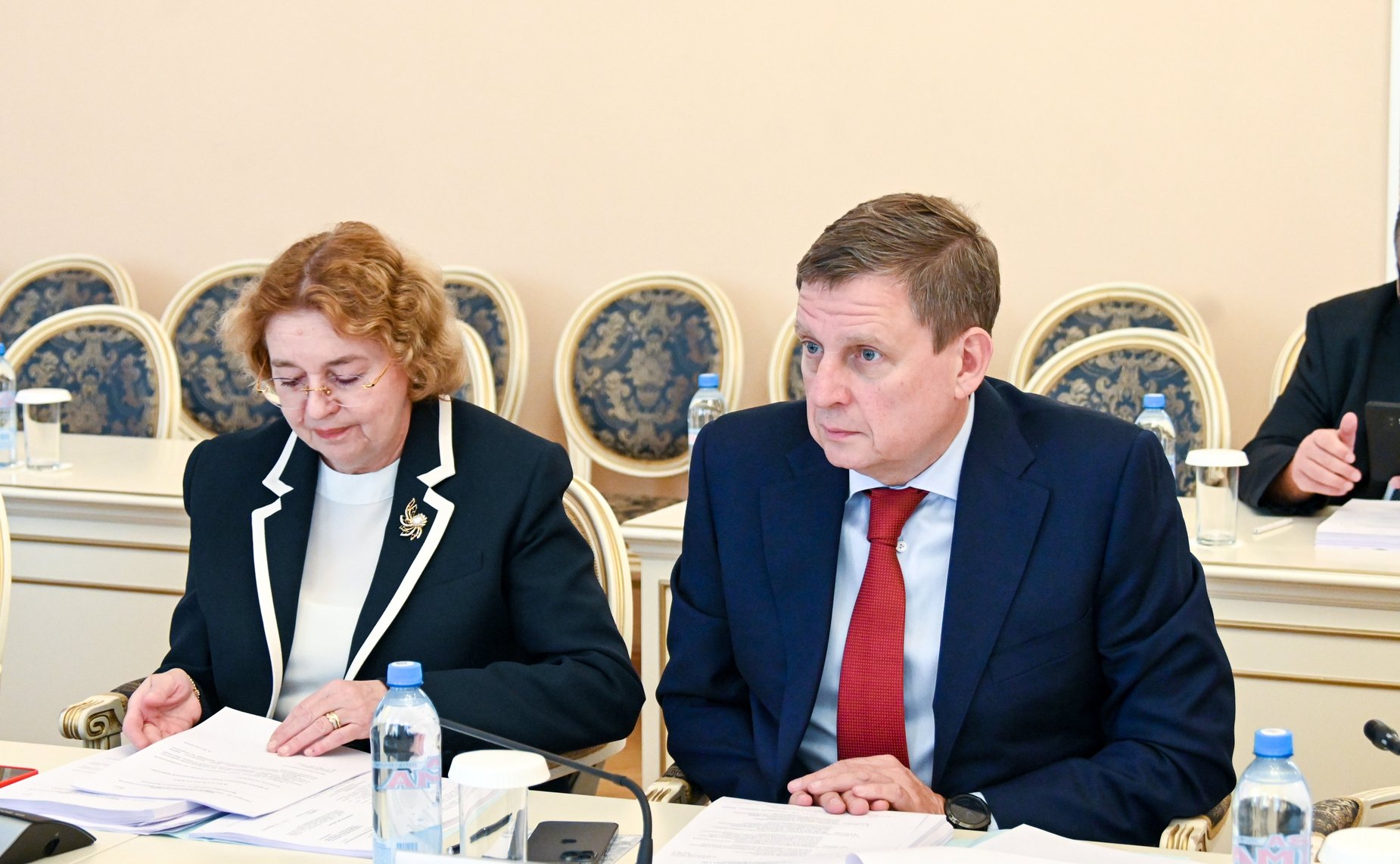 Сенаторы РФ приняли участие в заседании Постоянной комиссии МПА СНГ по экономике и финансам