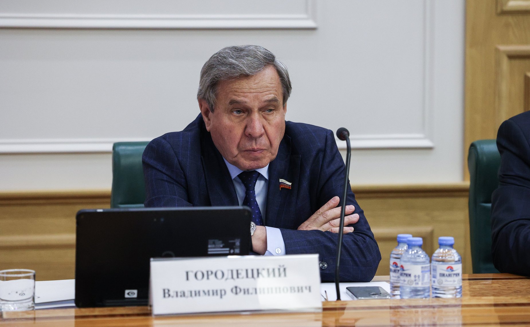 Владимир Городецкий