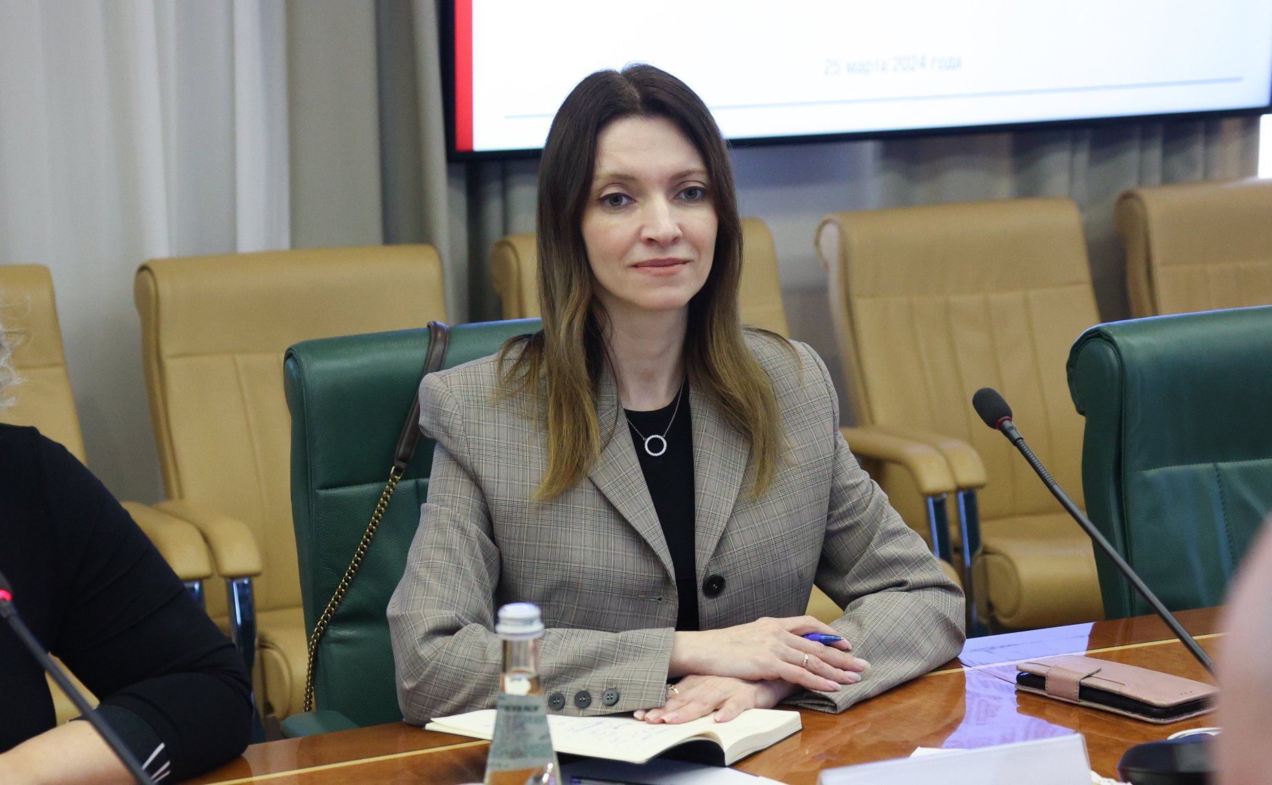 Встреча председателя Комитета Совета Федерации по международным делам с Чрезвычайным и Полномочным Послом Государства Израиль в Российской Федерации