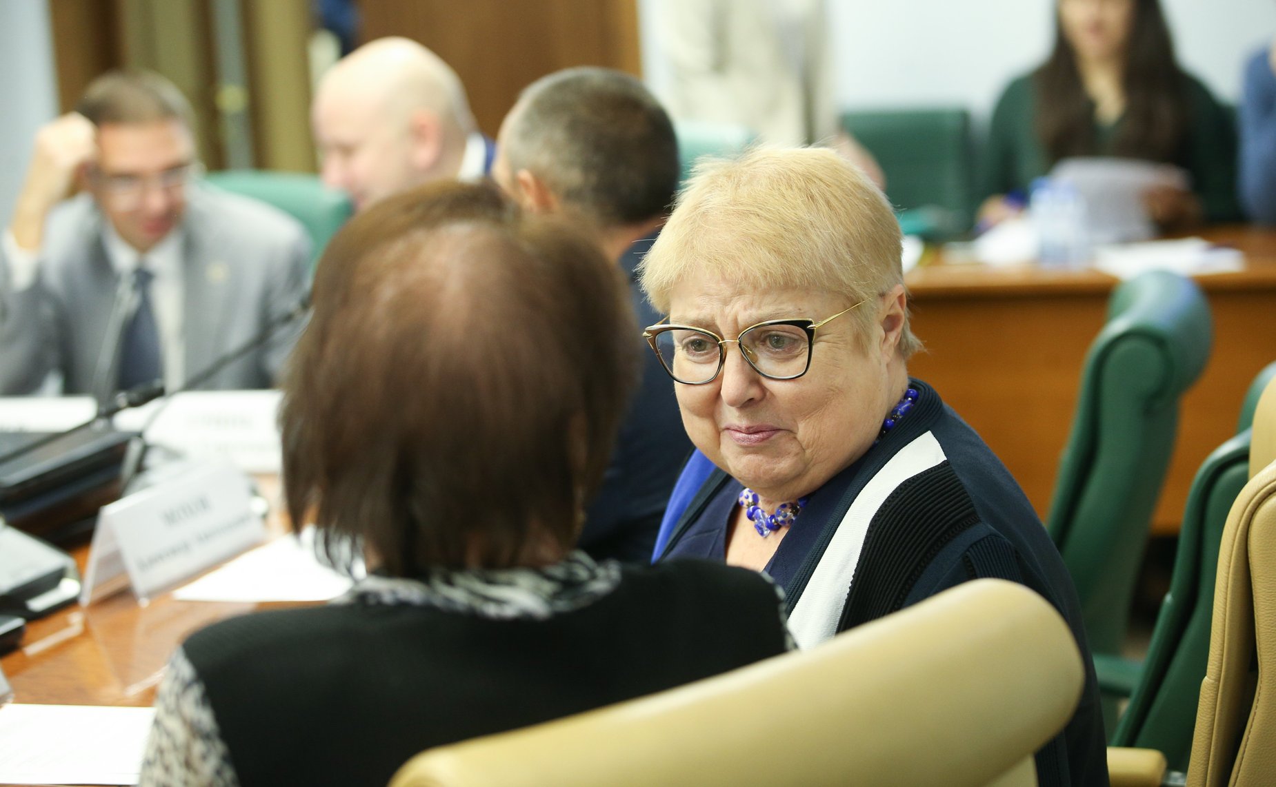 Заседание Экспертного совета по здравоохранению при Комитете СФ по социальной политике