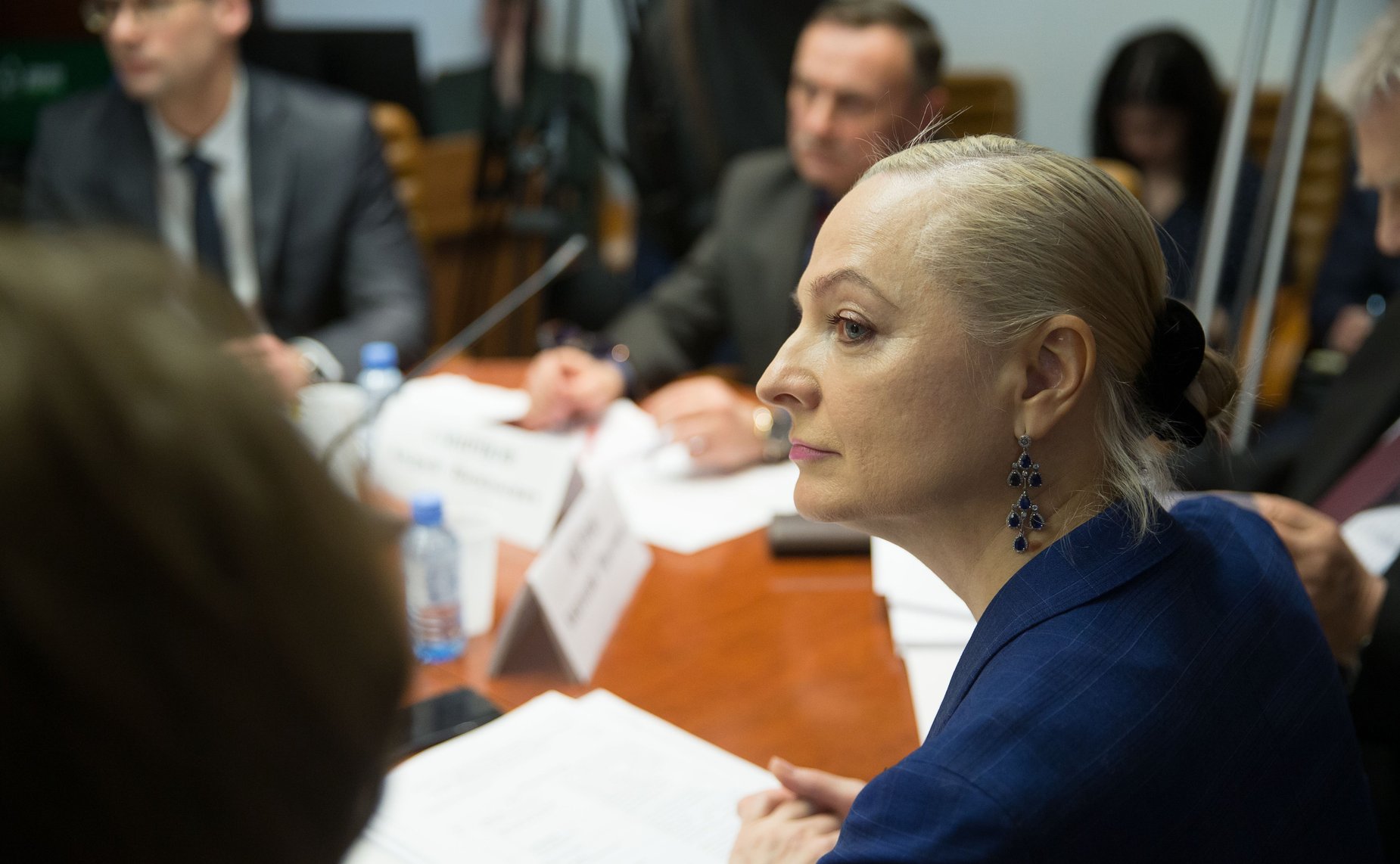 Заседание Экспертно-консультативного совета по лесному комплексу по обсуждению Концепции Лесного кодекса РФ, разработанной Российской академией наук