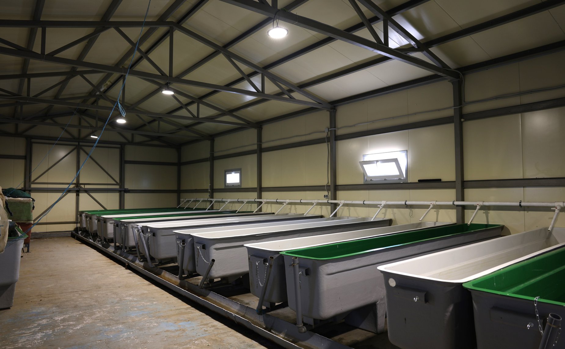 Денис Гусев в рамках работы в регионе осмотрел производственные и социальные объекты сельскохозяйственного производственного кооператива «Рыболовецкий колхоз «Сула»