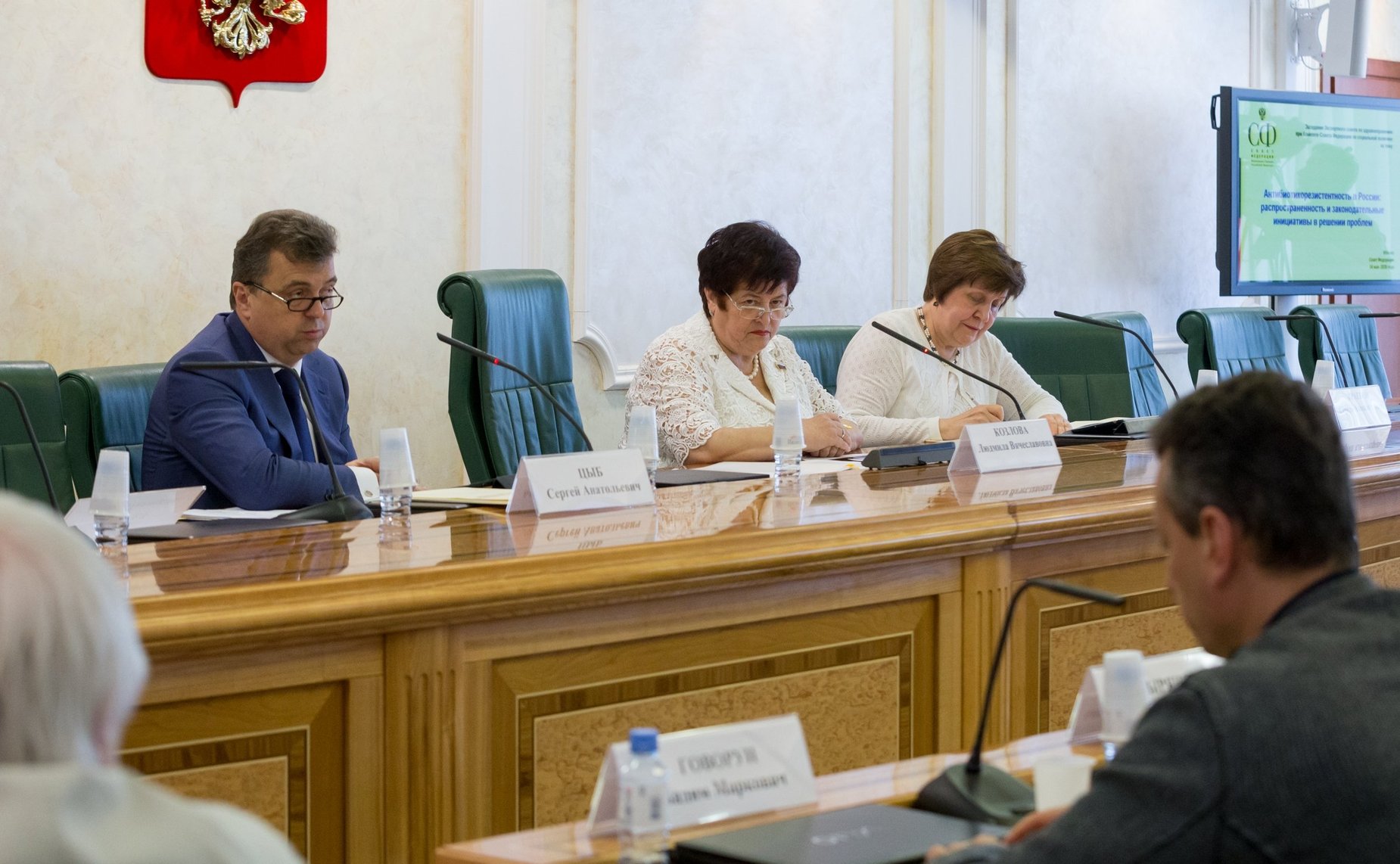 Заседание Экспертного совета по здравоохранению при Комитете СФ по социальной политике