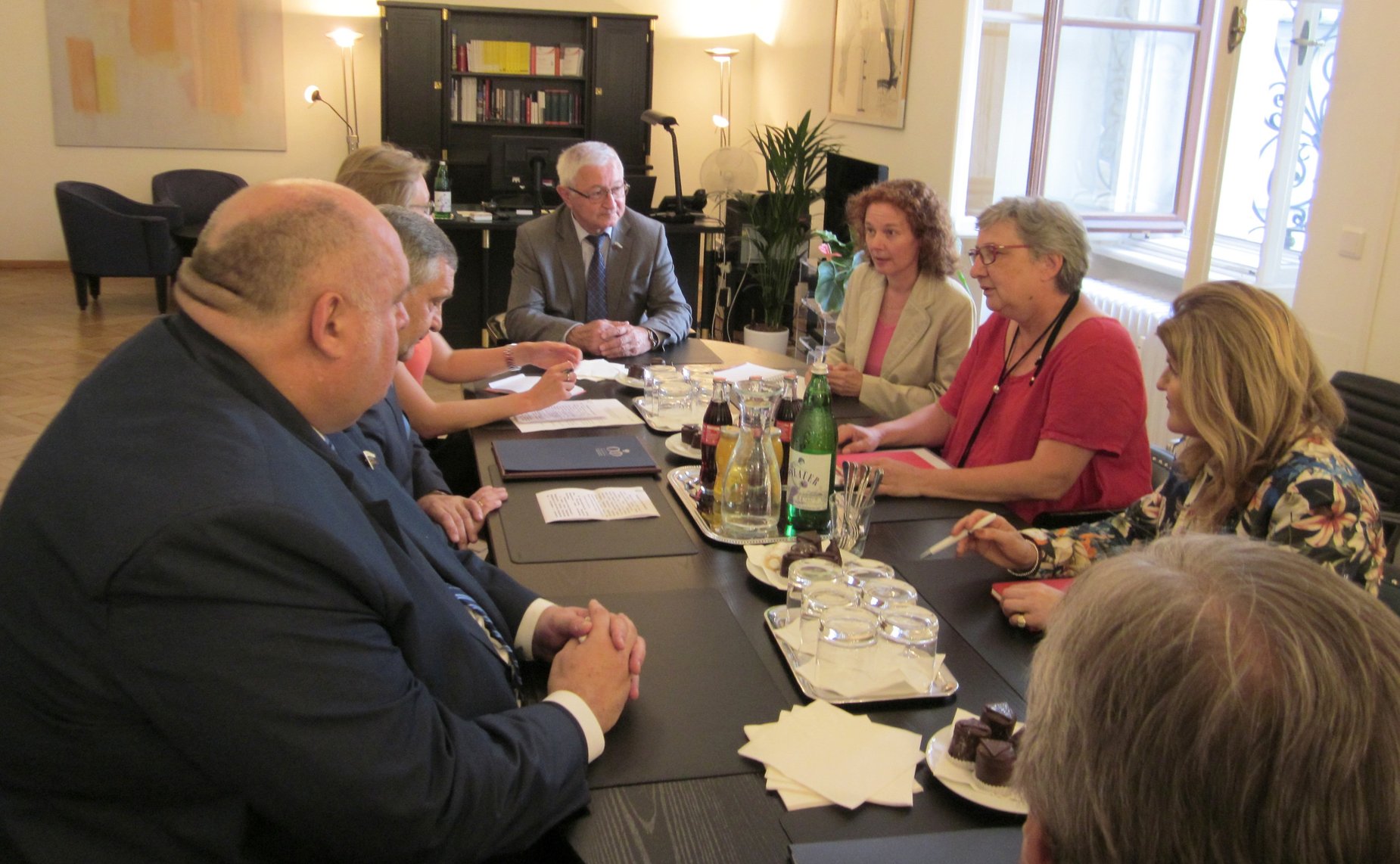 Встреча сенаторов с Президентом Федерального Совета Инге Пош-Груска