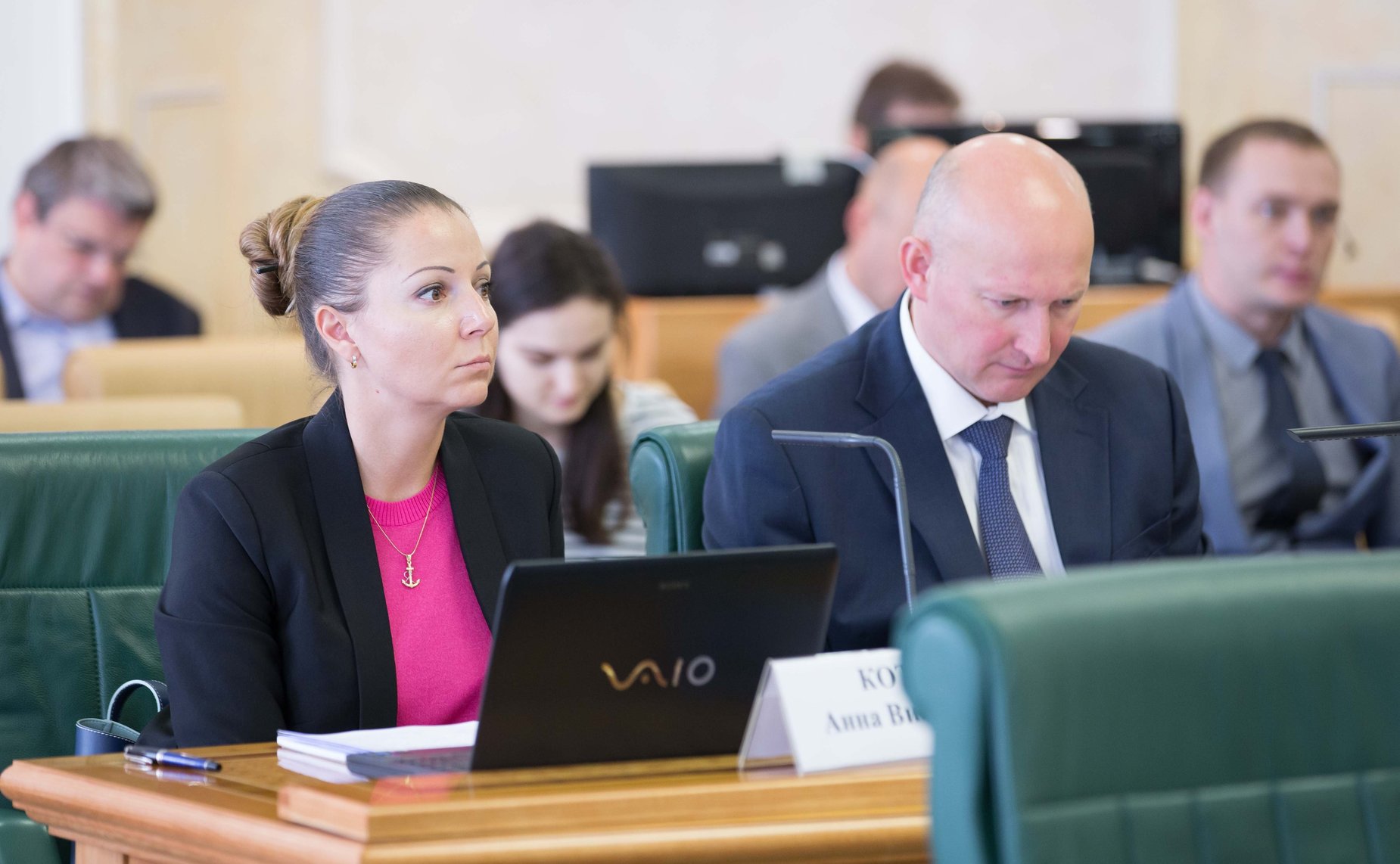 Заседание Комитета Совета Федерации по конституционному законодательству и государственному строительству