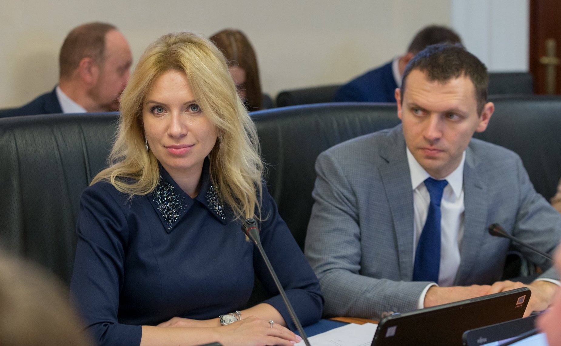 Заседание Комитета СФ по международным делам