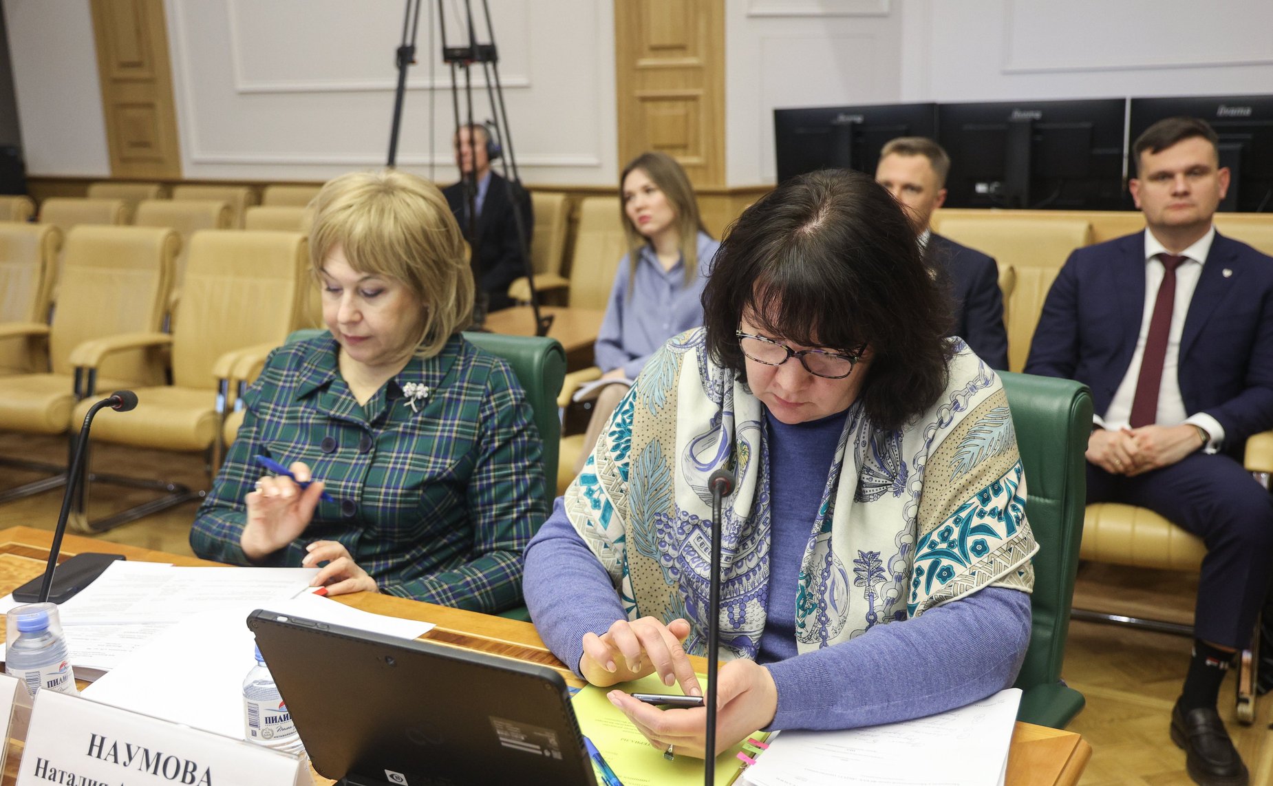 Заседание Экспертного совета по социальному развитию при Комитета Совета Федерации по социальной политике на тему «О проведении Года семьи в Российской Федерации»