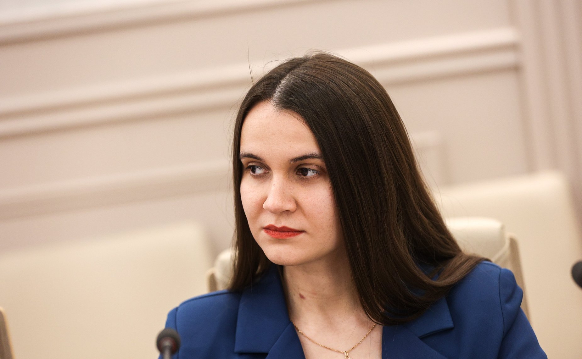 Встреча Александра Варфоломеева с членами молодежного парламента при Тульской областной Думе