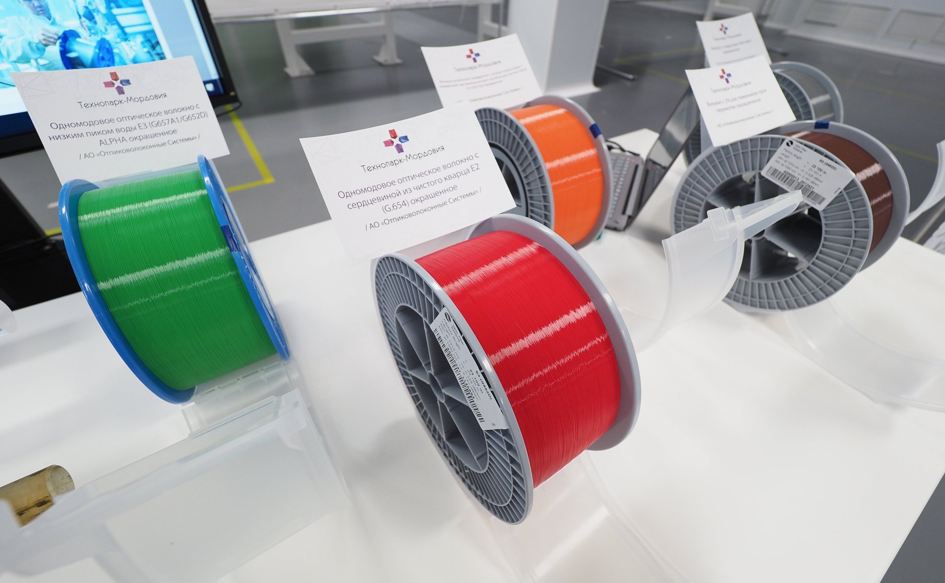 Выездное заседание Совета по вопросам интеллектуальной собственности на тему «Роль российских регионов в развитии рынка интеллектуальных прав»