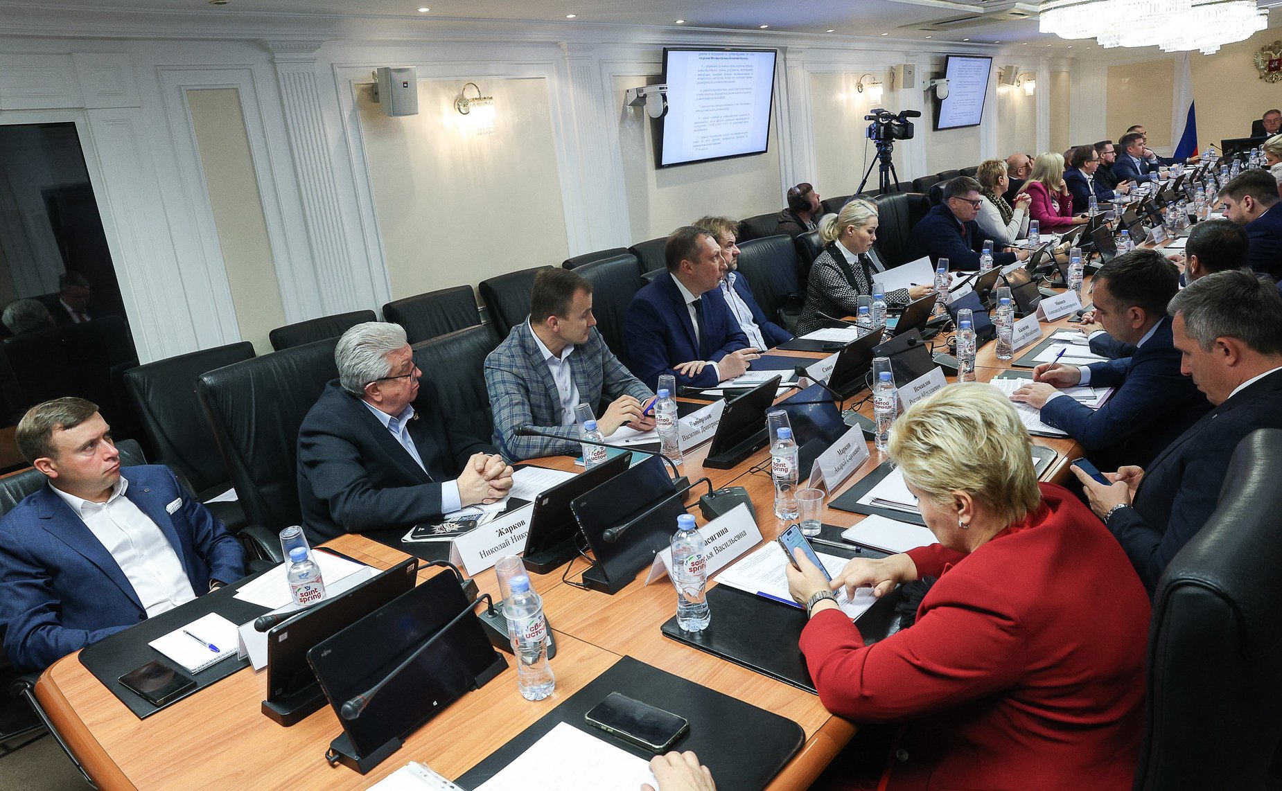 Заседание Экспертного совета по физической культуре и спорту при Комитете СФ по социальной политике