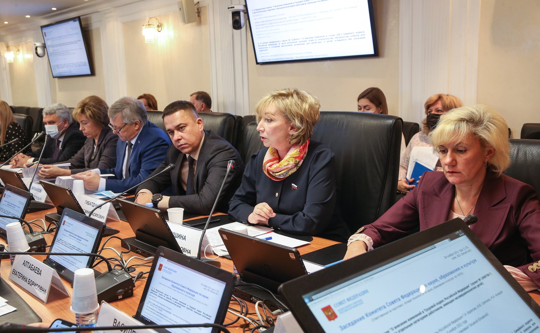 Заседание Комитета СФ по науке, образованию и культуре