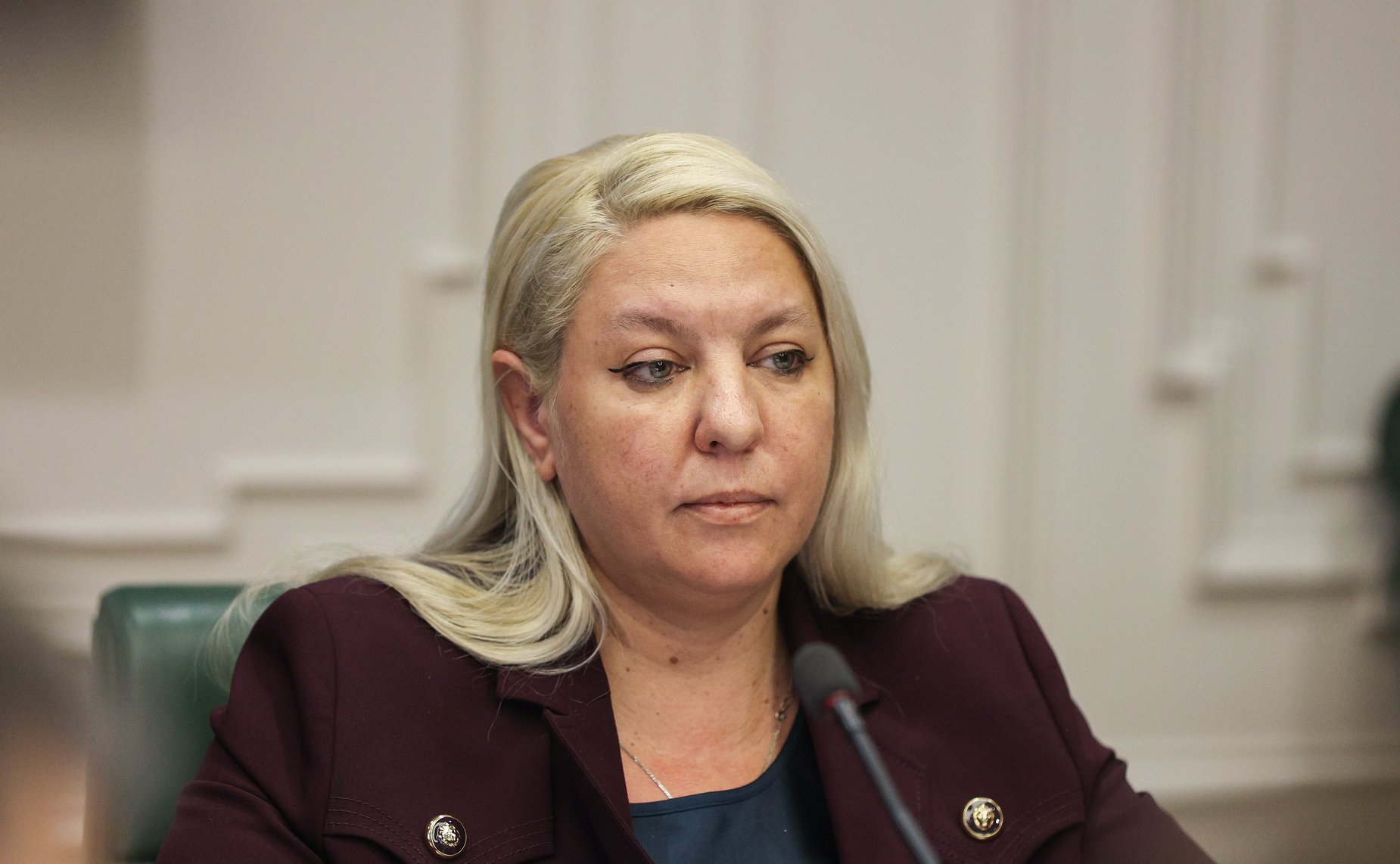 Заседание Комитета СФ по аграрно-продовольственной политике и природопользованию