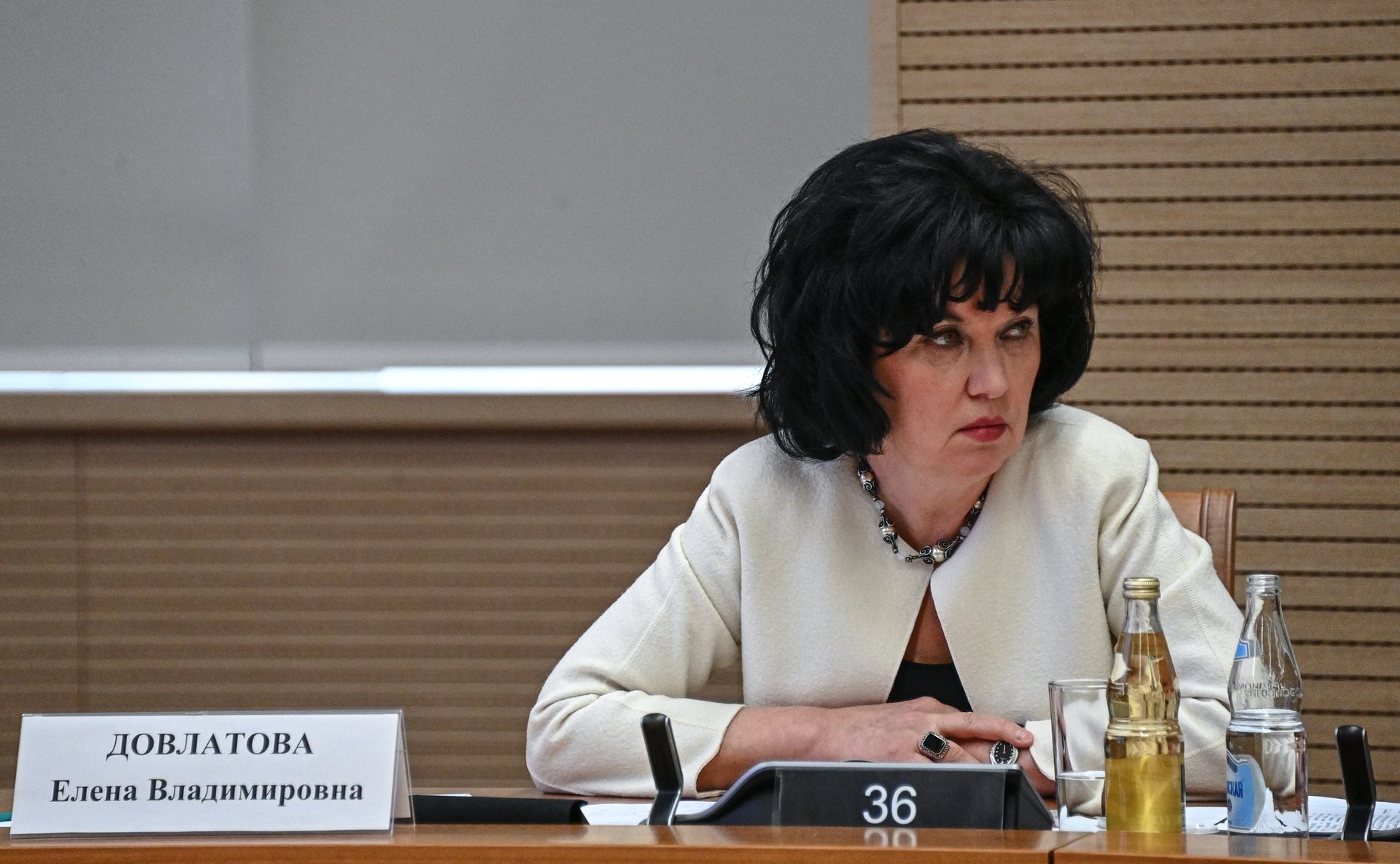 Заседание Окружного консультативного совета по развитию местного самоуправления в Приволжском федеральном округе. Фото: РИА Новости