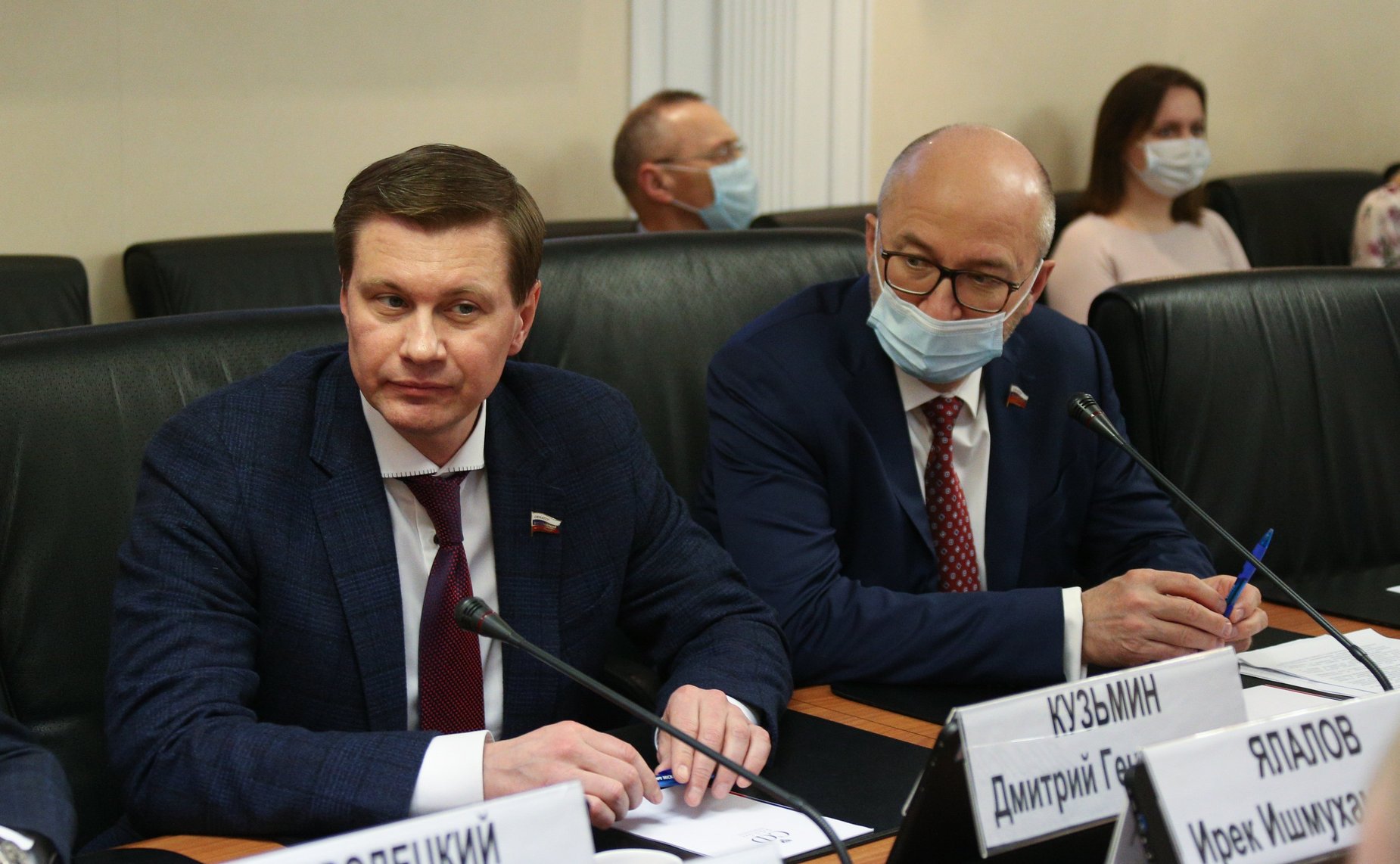 Заседание рабочей группы Комитета СФ по федеративному устройству, региональной политике, местному самоуправлению и делам Севера