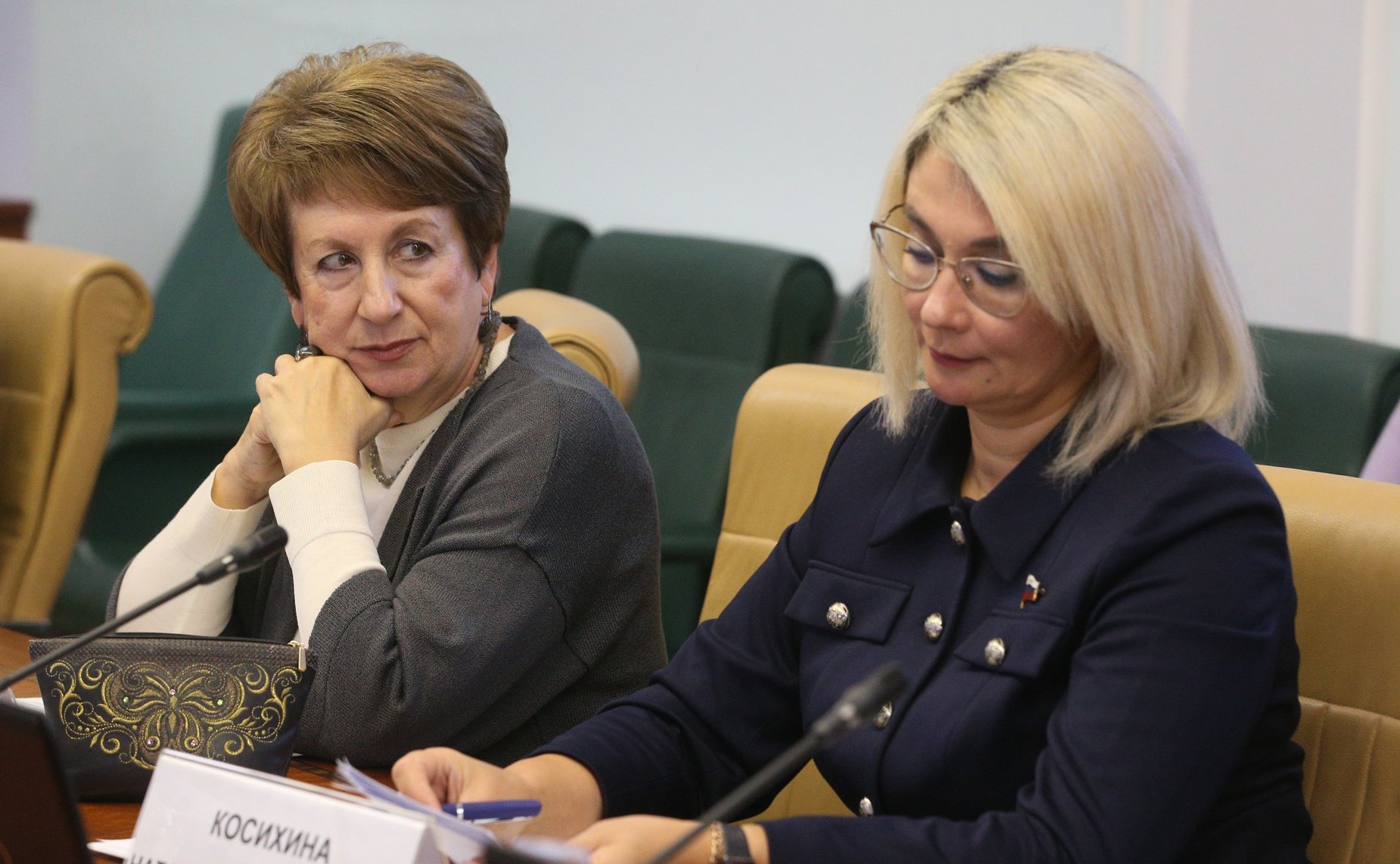 Заседание Комитета СФ по науке, образованию и культуре