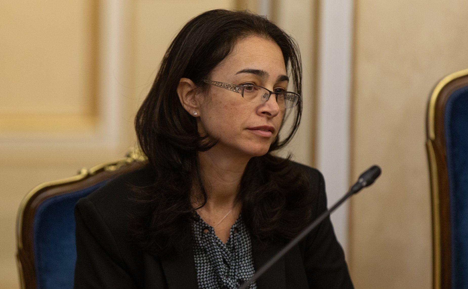 Встреча А. Климова c депутатом Кнессета Государства Израиль Давидом Битаном