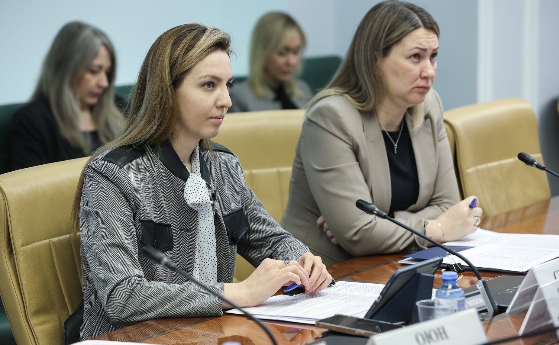 Круглый стол Комитета СФ по экономической политике