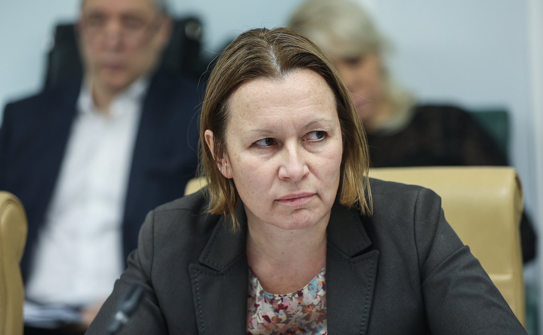 Круглый стол Комитета СФ по аграрно-продовольственной политике и природопользованию совместно с Комитетом СФ по социальной политике по вопросам развитию народных промыслов в сельской местности