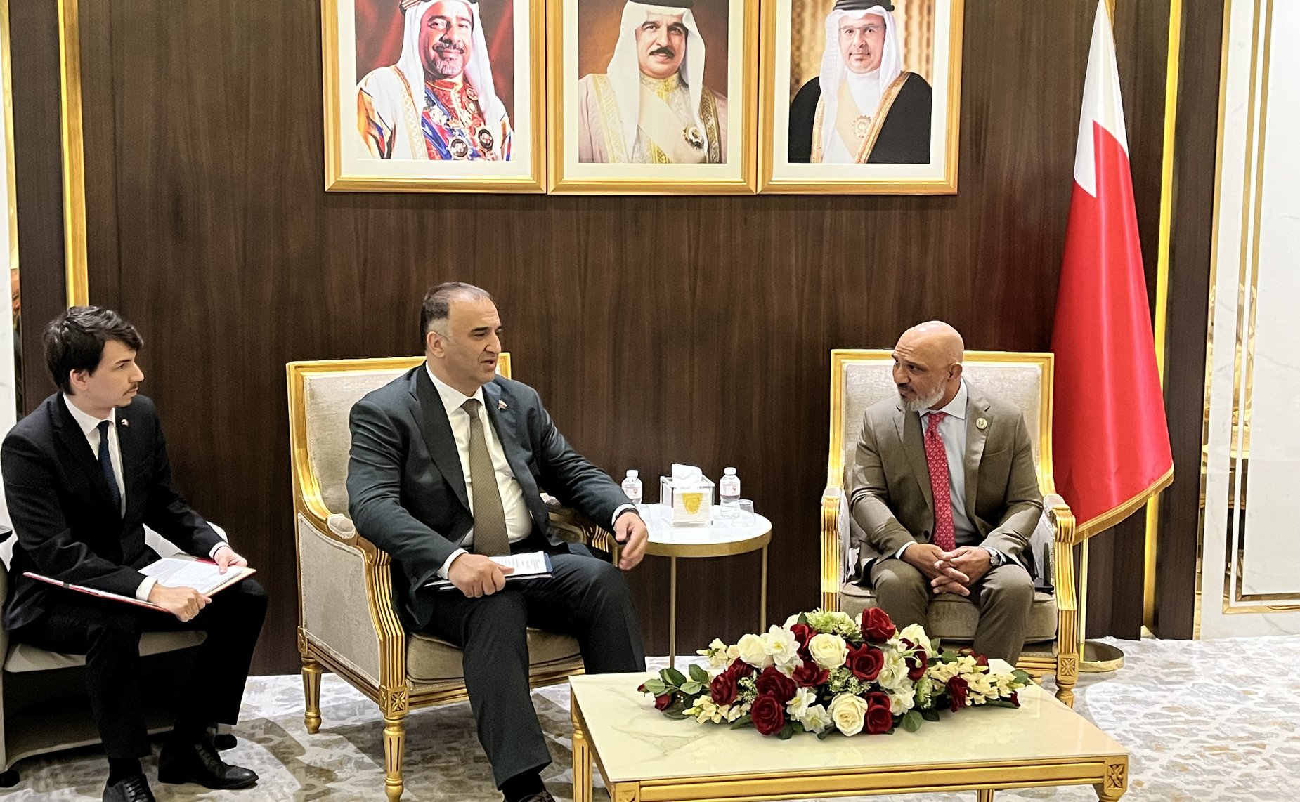 Рабочая встреча российской делегации с председателем Комитета по делам молодежи Консультативного совета Национального собрания Королевства Бахрейн Резой Иьрагимом Мунфареди