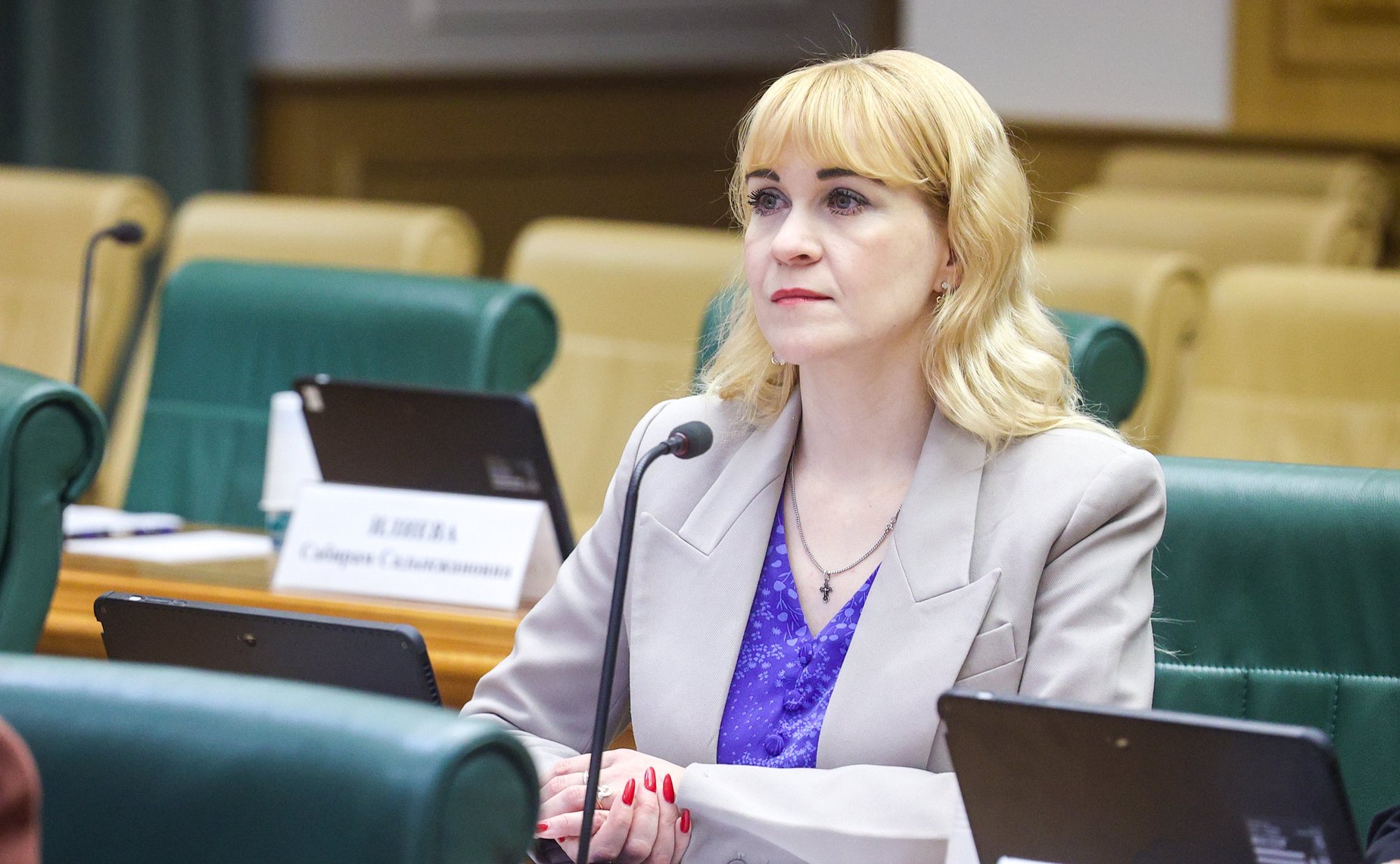 Встреча председателя Комитета СФ по науке, образованию и культуре Лилии Гумеровой с участниками окружных семейно-демографических конференций