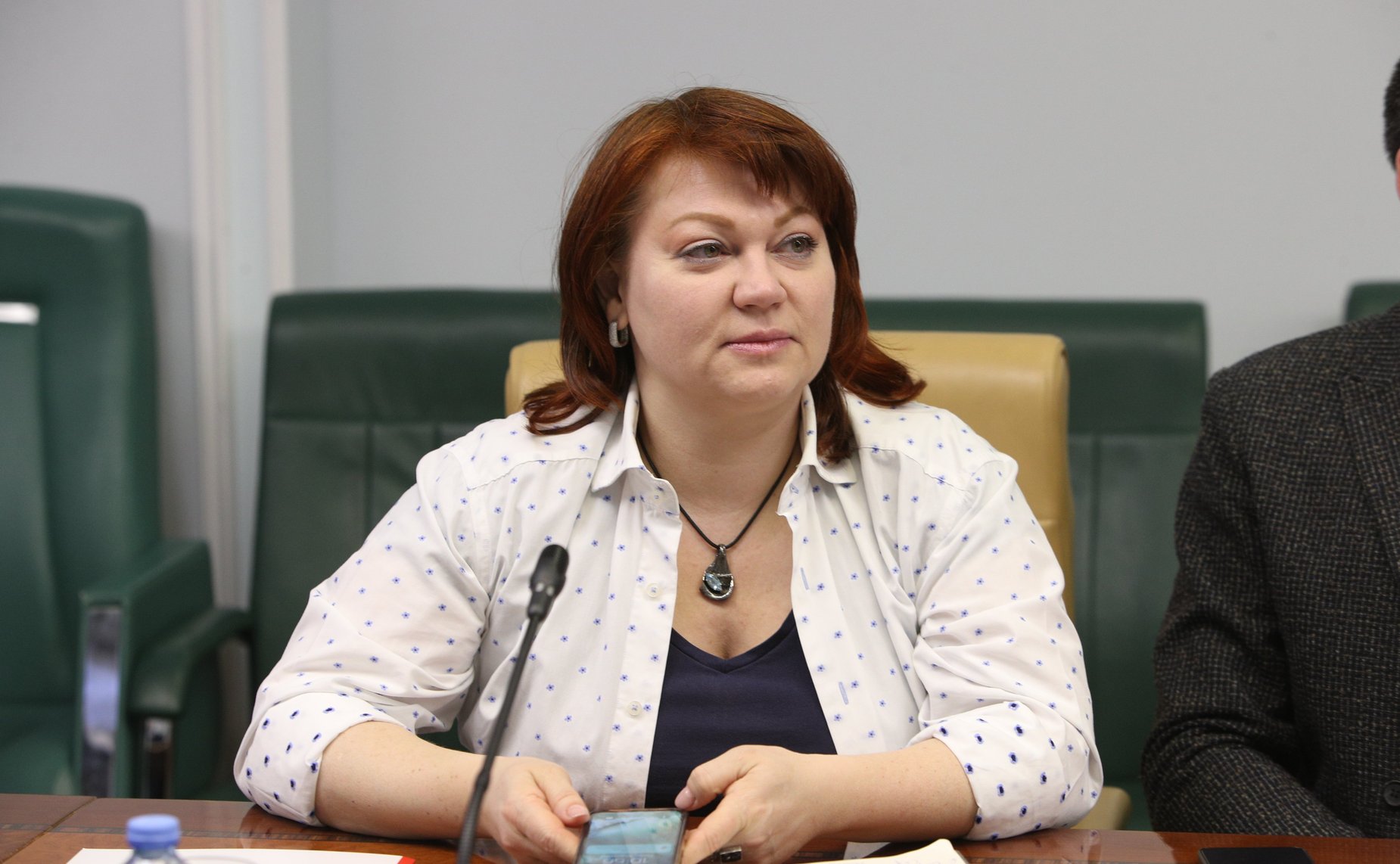 Круглый стол Комитета СФ по экономической политике на тему «Энергетическая безопасность Дальнего Востока и Арктики»