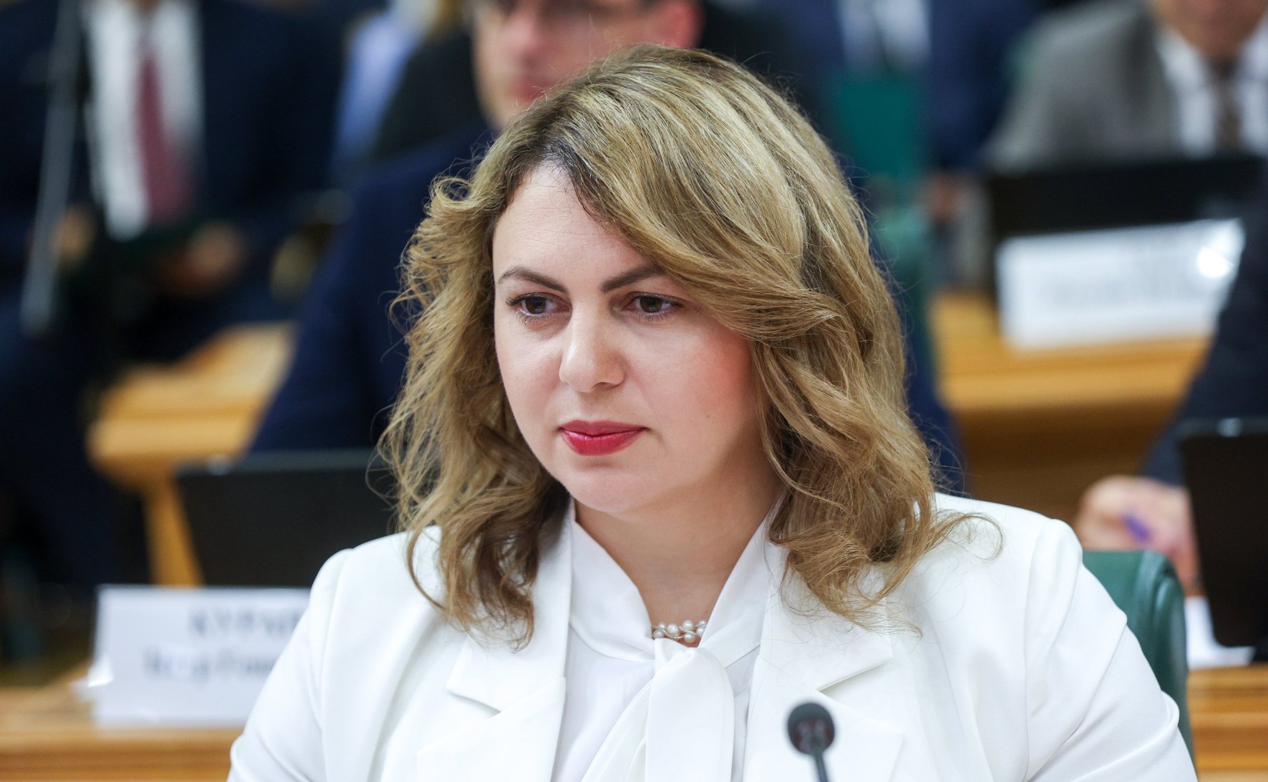 Заседание Палаты молодых законодателей при Совете Федерации