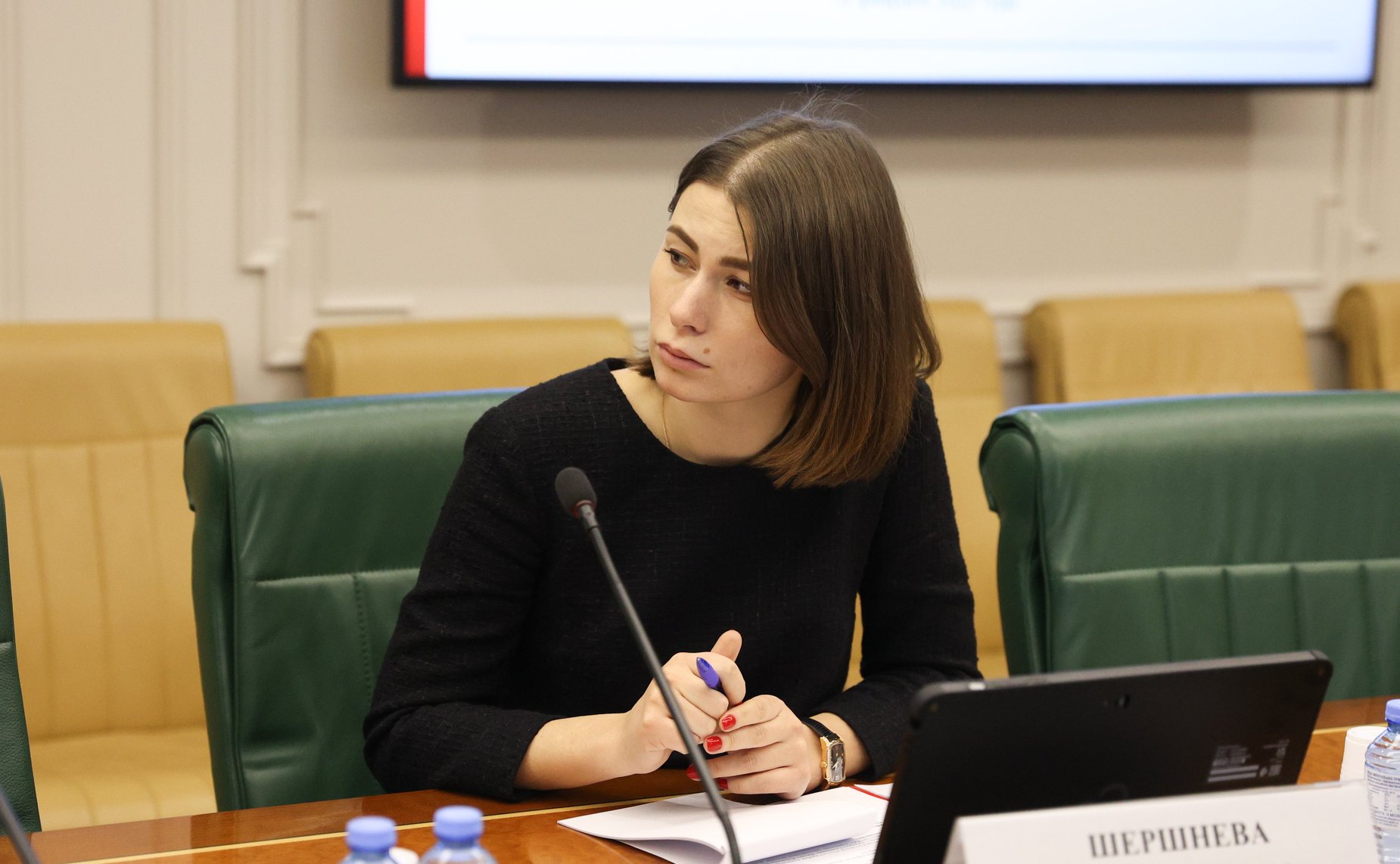 Заседание рабочей группы Комитета СФ по Регламенту и организации парламентской деятельности с участием сенаторов РФ, представителей федеральных органов государственной власти Ростовской области по вопросам комплексного развития г. Таганрога