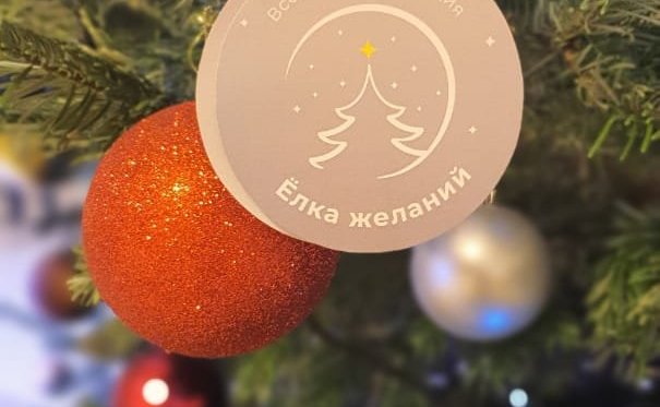 Ольга Епифанова приняла участие в тематической благотворительной акции «Ёлка желаний»