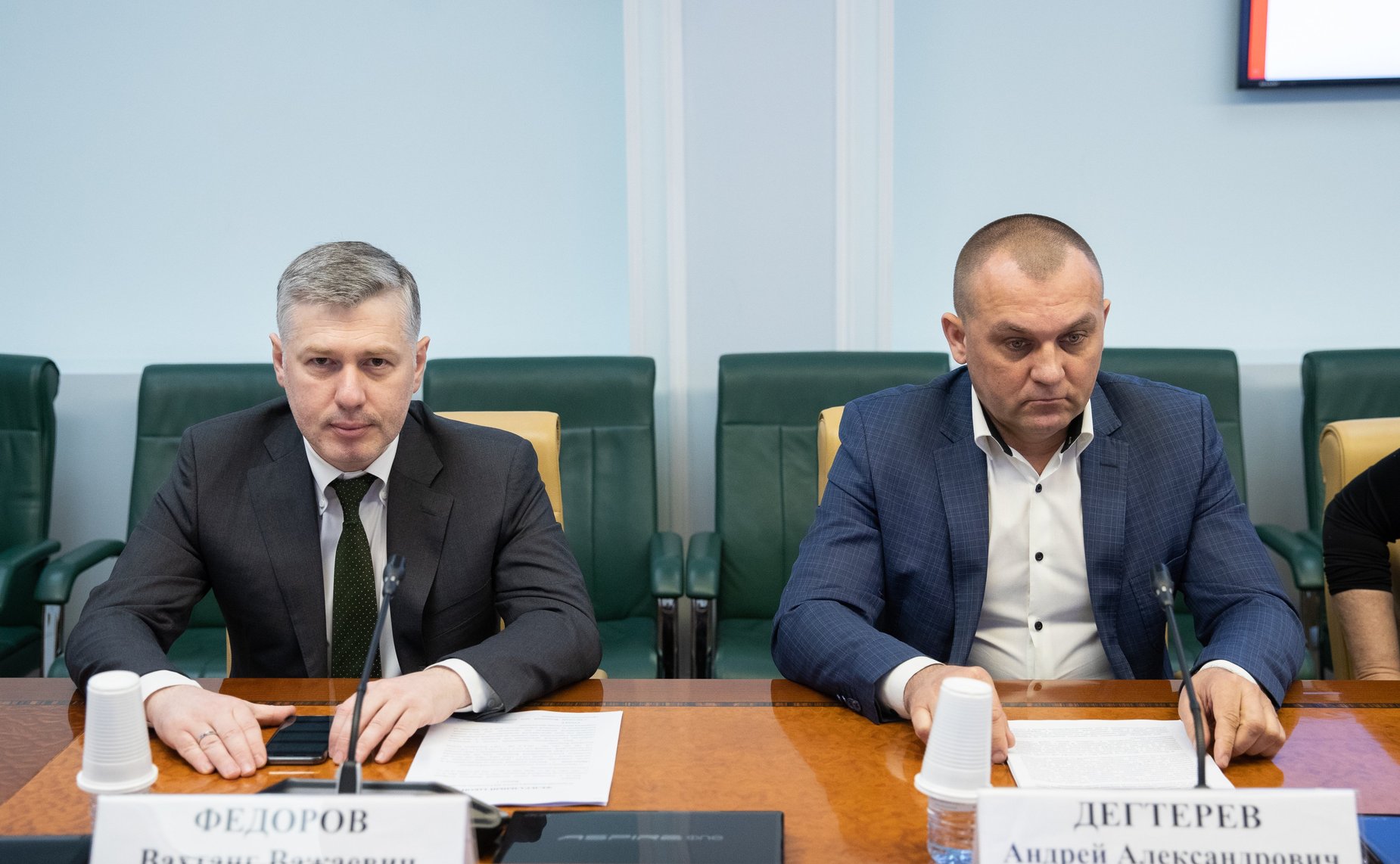 Заседание Экспертно-консультативного совета при Комитете СФ по конституционному законодательству и государственному строительству